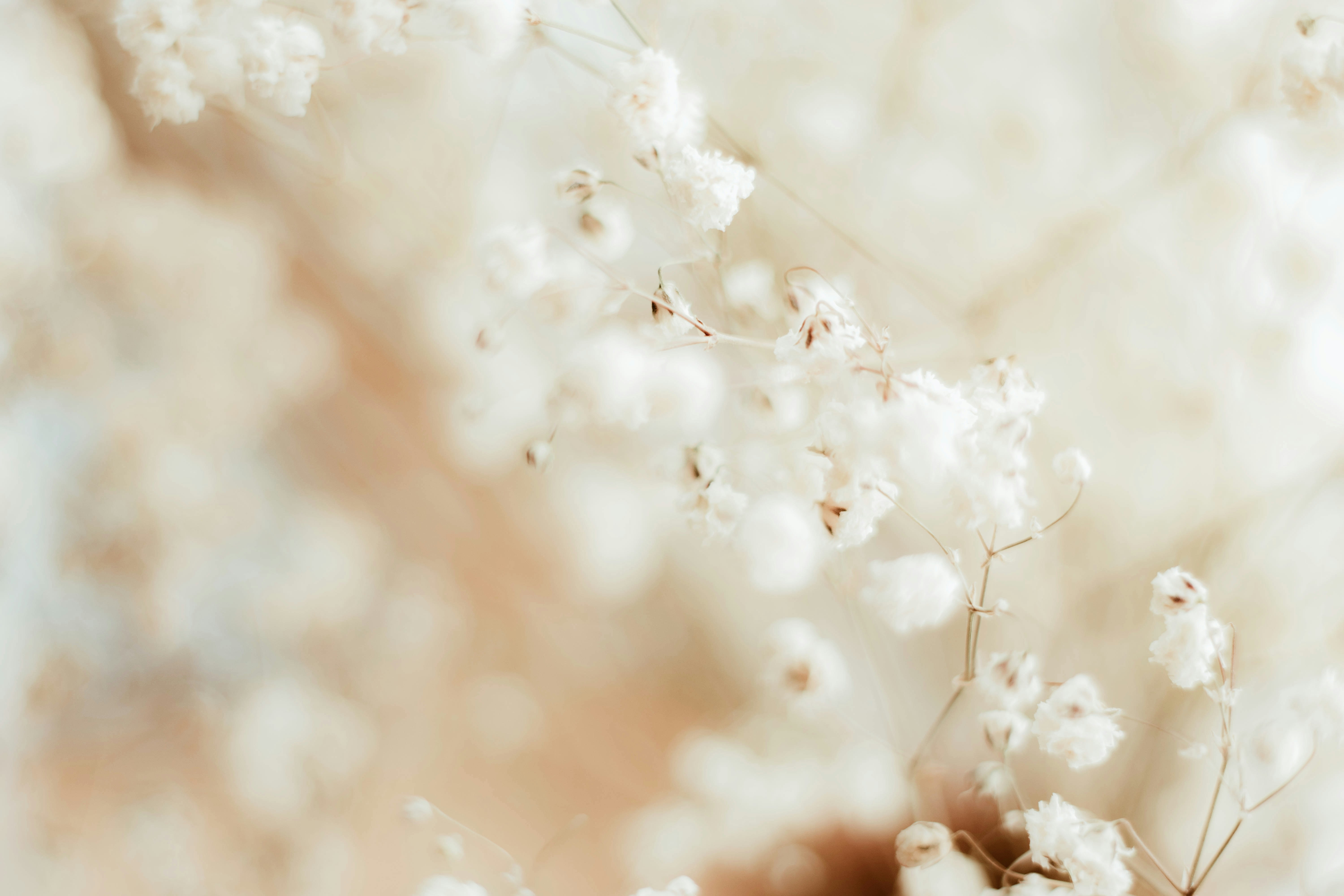 Photo by nina_mercado