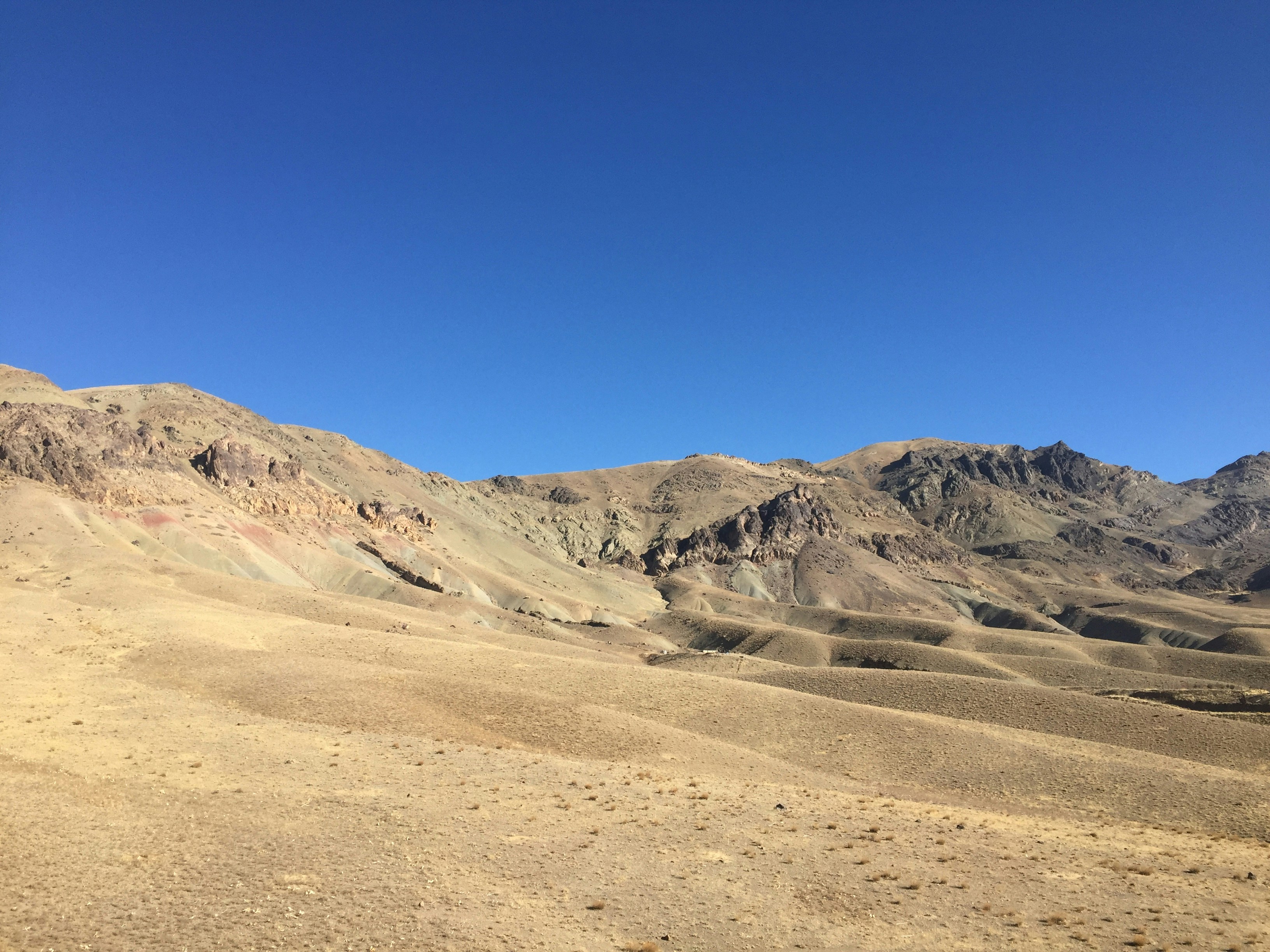 Photo by vahidkarimi