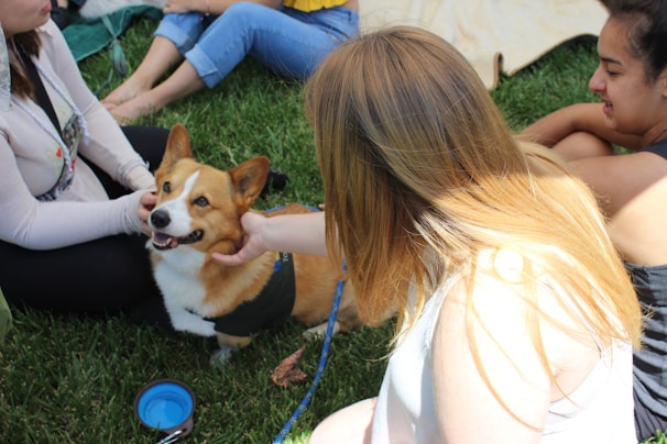 A group of happy seniors petting a friendly therapy dog during a visit at a senior center.