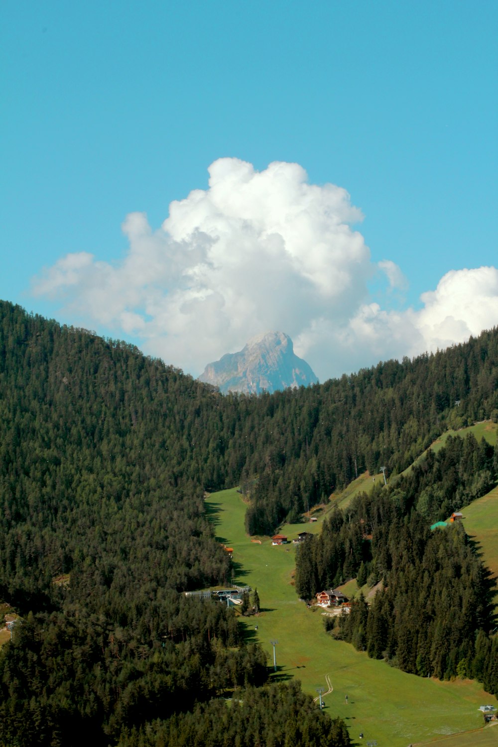 alberi verdi e montagna sotto il cielo blu durante il giorno