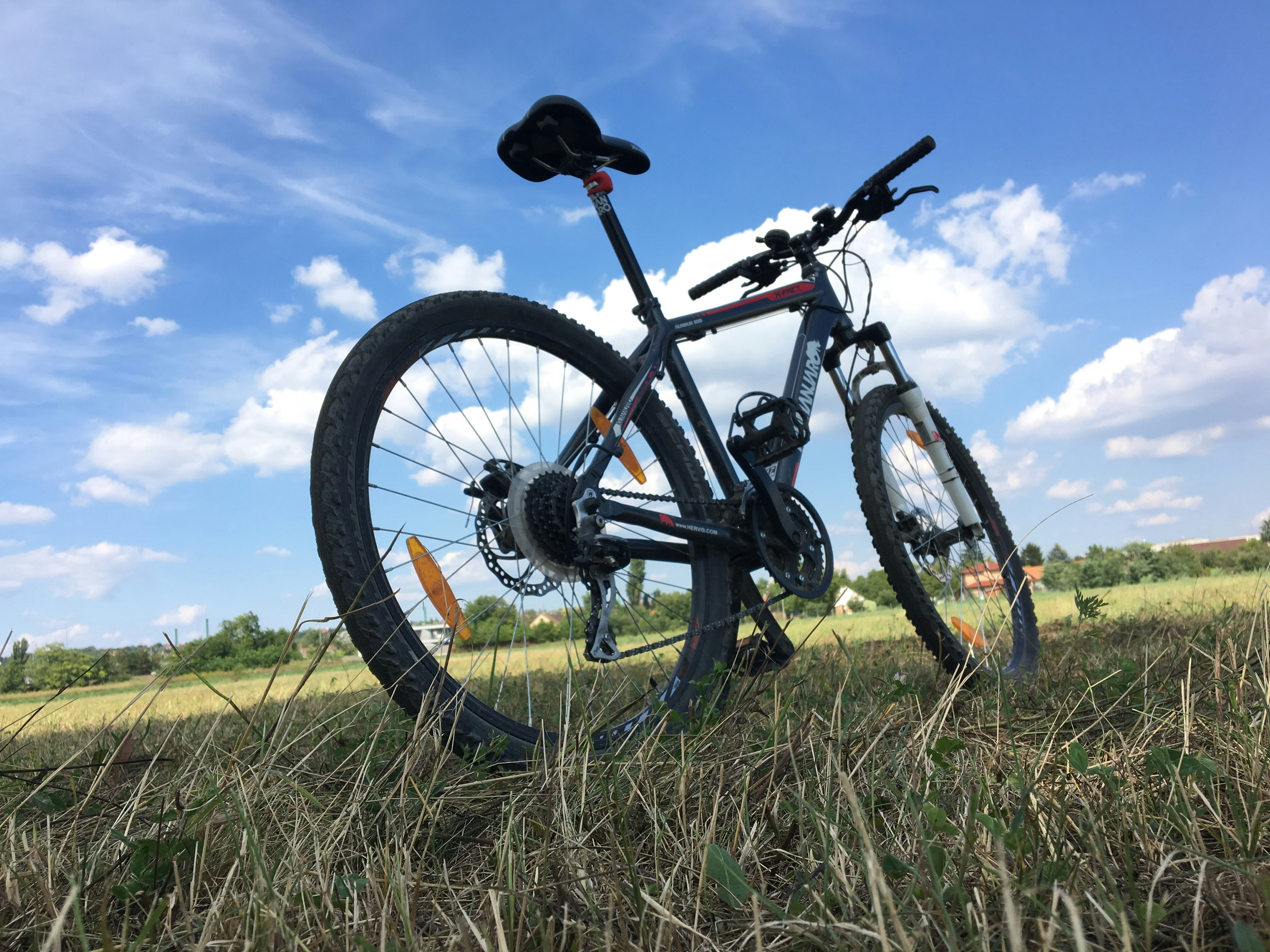 Pikorida Trailblazer Bike