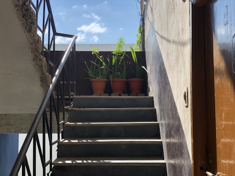 A set of concrete stairs leads to a rooftop where several potted plants are placed. The stairs are bordered by a metal railing, and sunlight casts shadows across the steps. There is a wall on one side with visible wiring, and a wooden door on the other side.