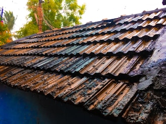 A wet, sloped roof covered with dark, muddy tiles is visible. The scene includes green trees in the background and an electricity pole with wires. The roof shingles are arranged in a patterned manner.