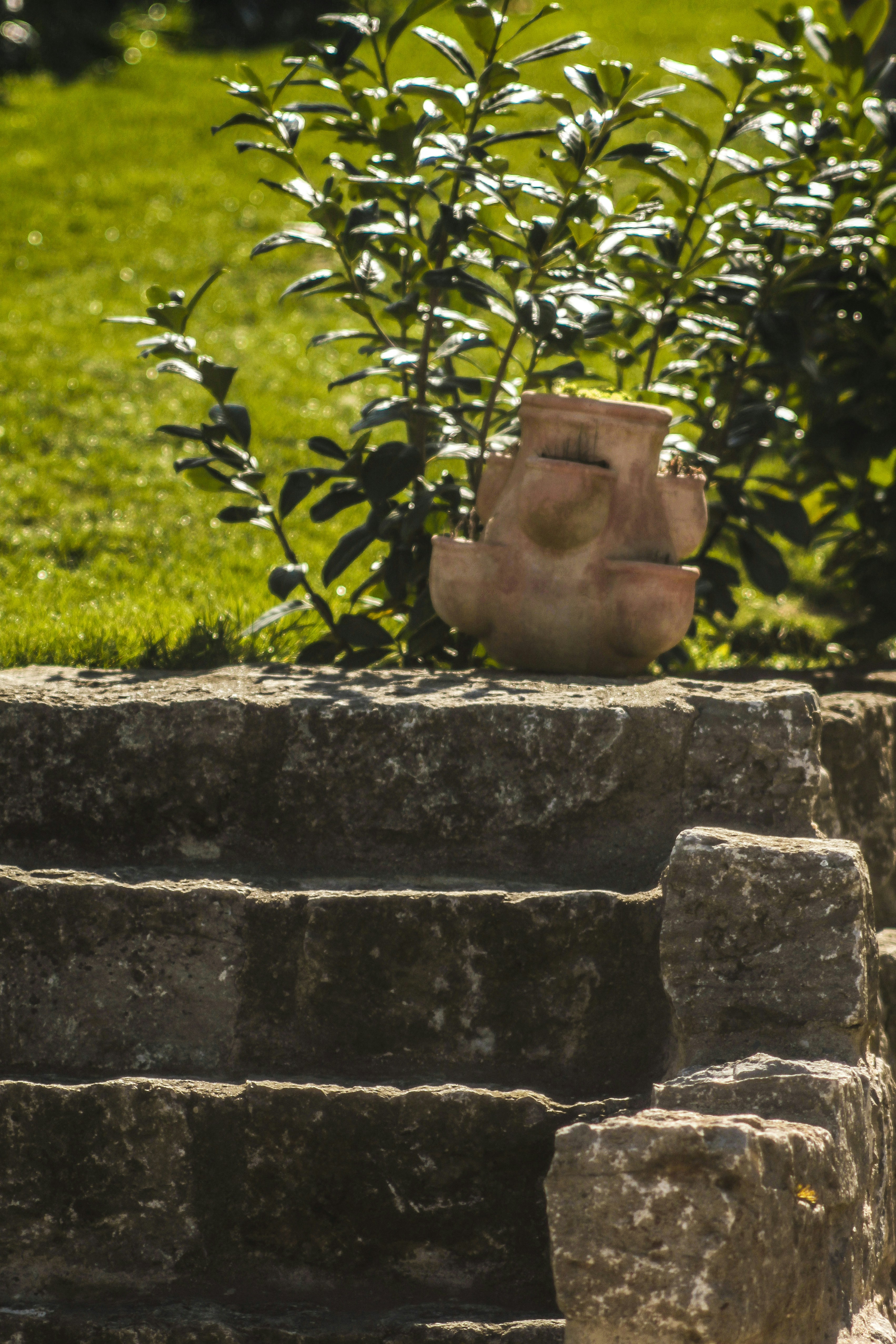 brown clay pot on gray concrete stairs