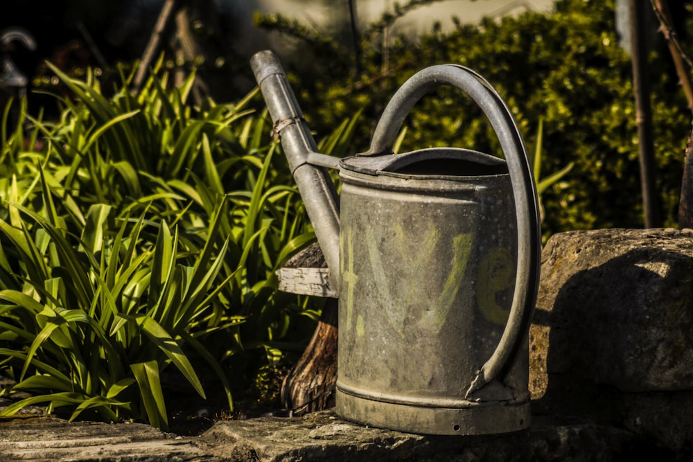 gray watering can on brown wooden log