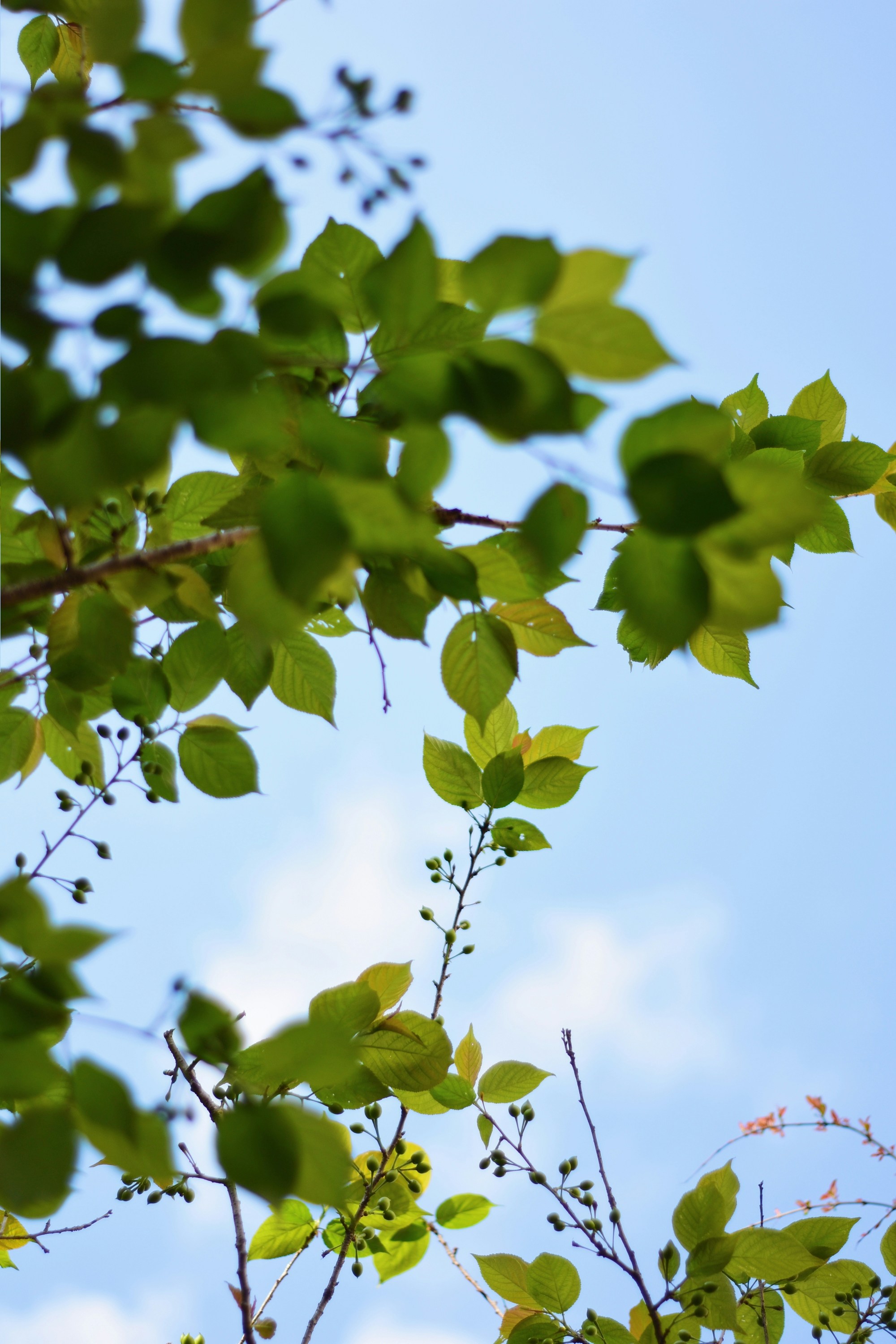 Photo by gregorio_nico