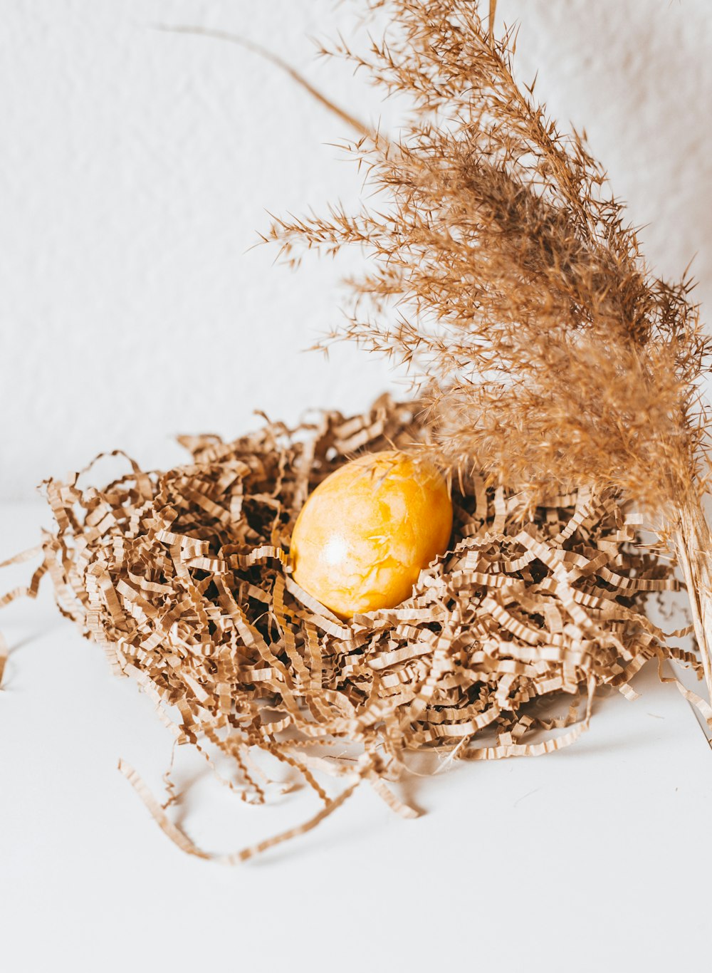 yellow egg on brown nest
