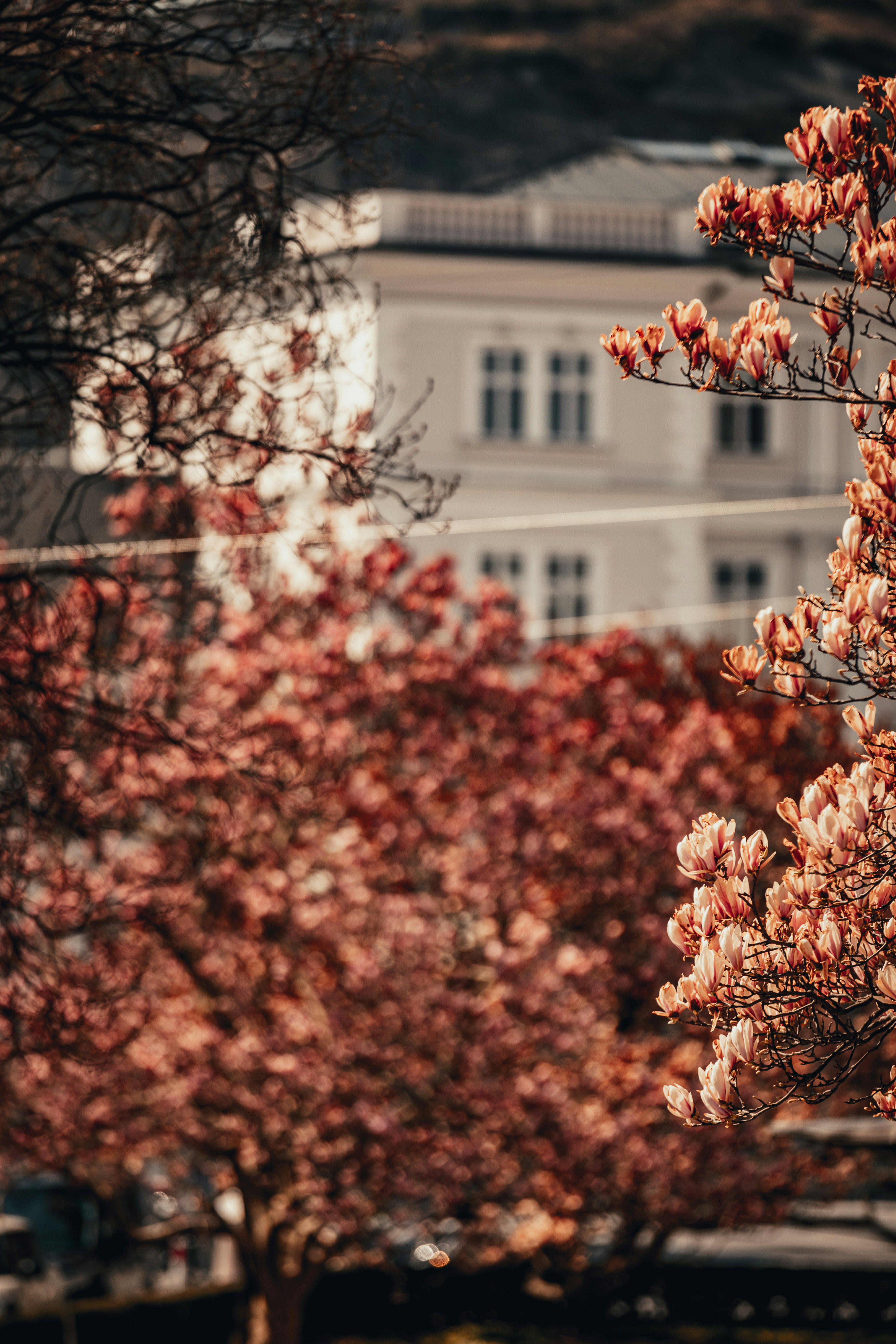 Photo by patresinger
