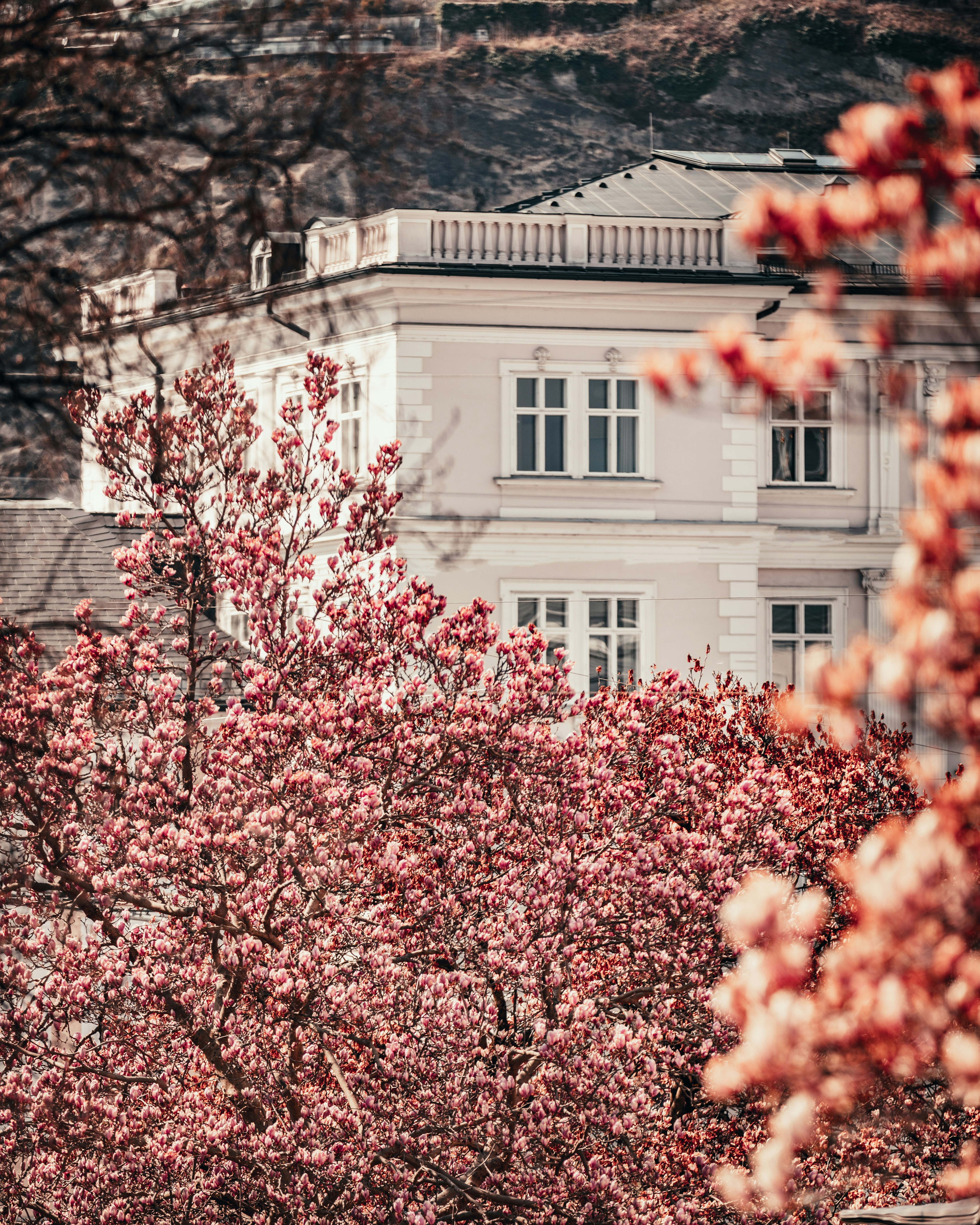 Photo by patresinger