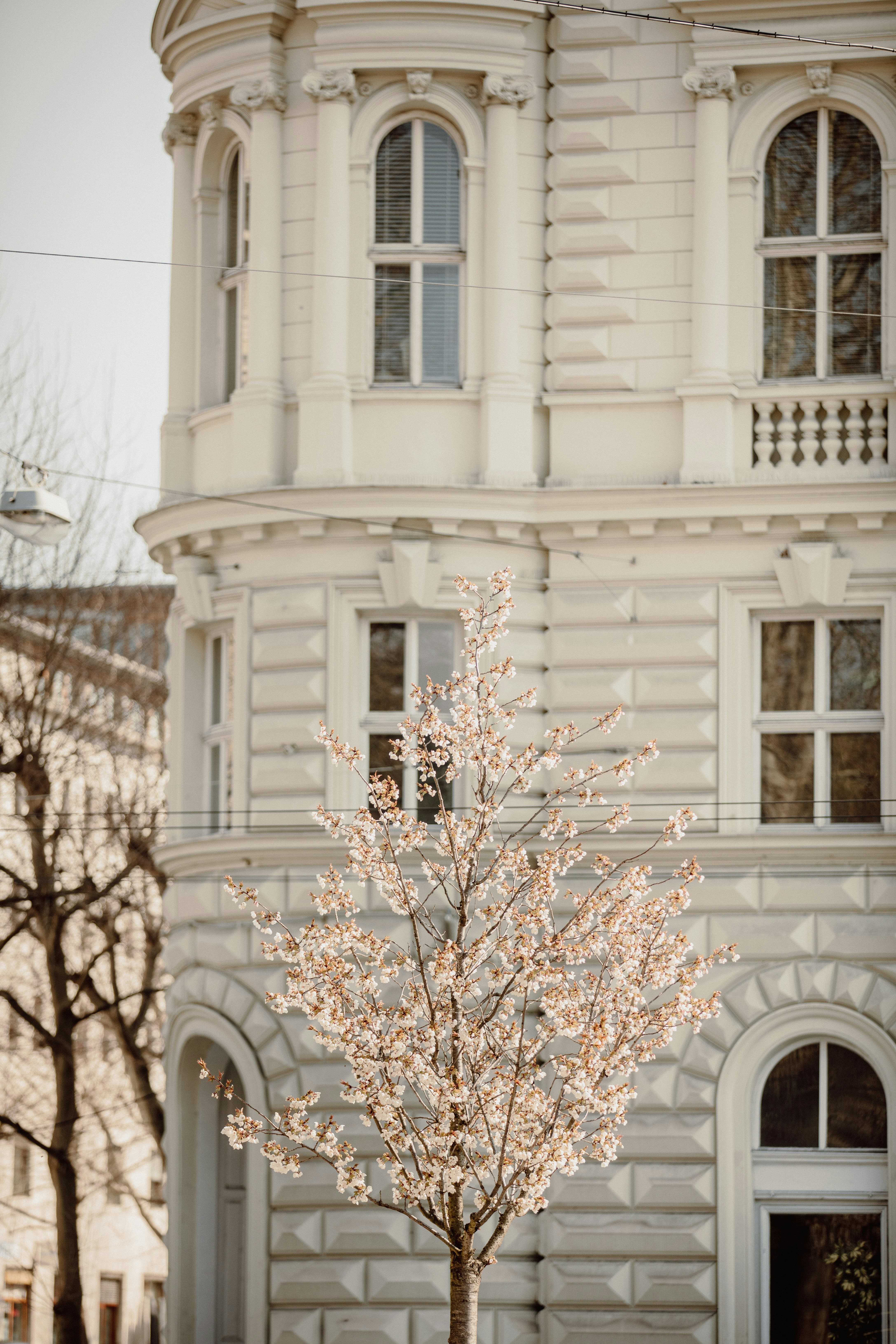 Photo by patresinger