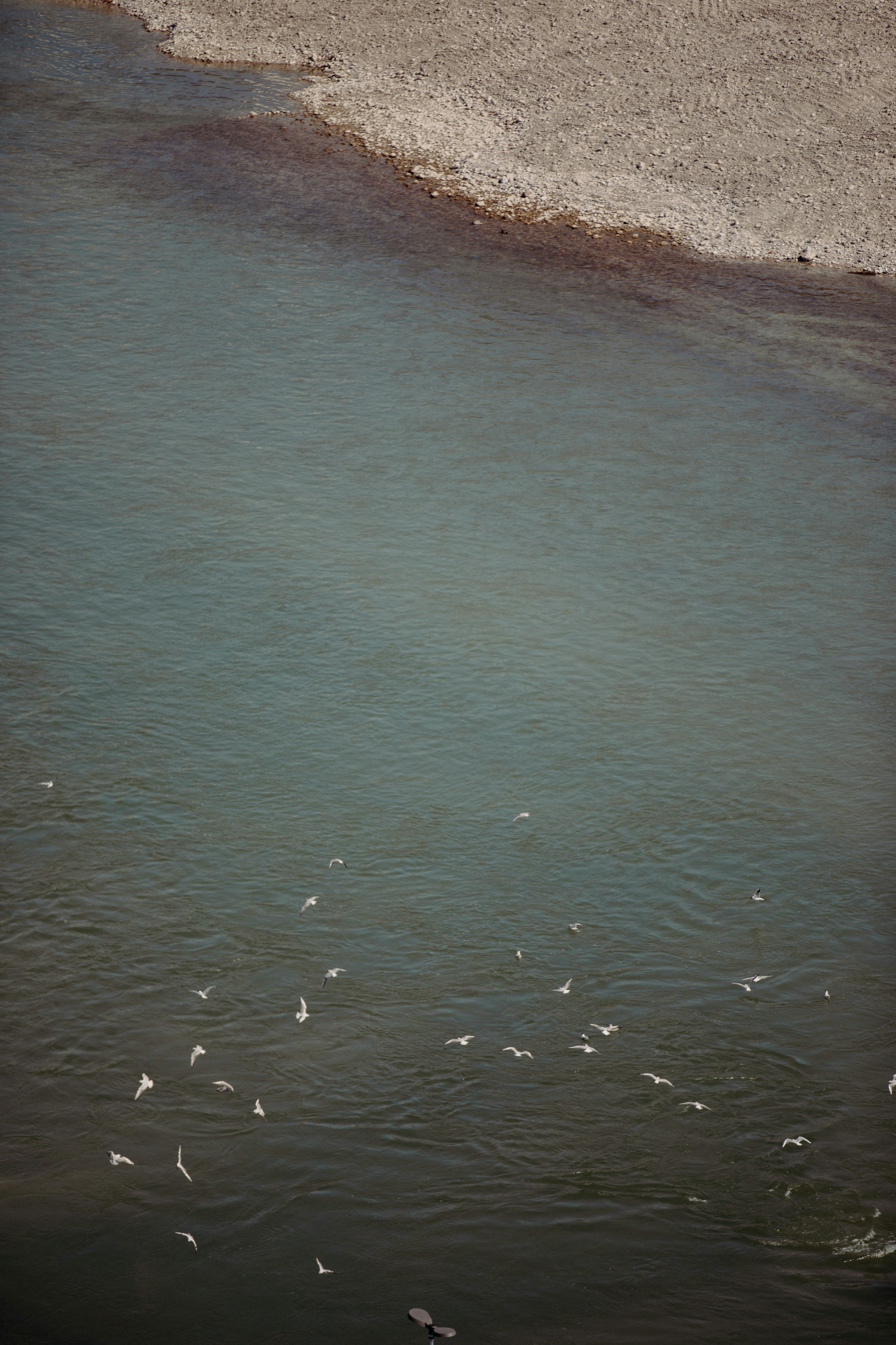 Photo by patresinger
