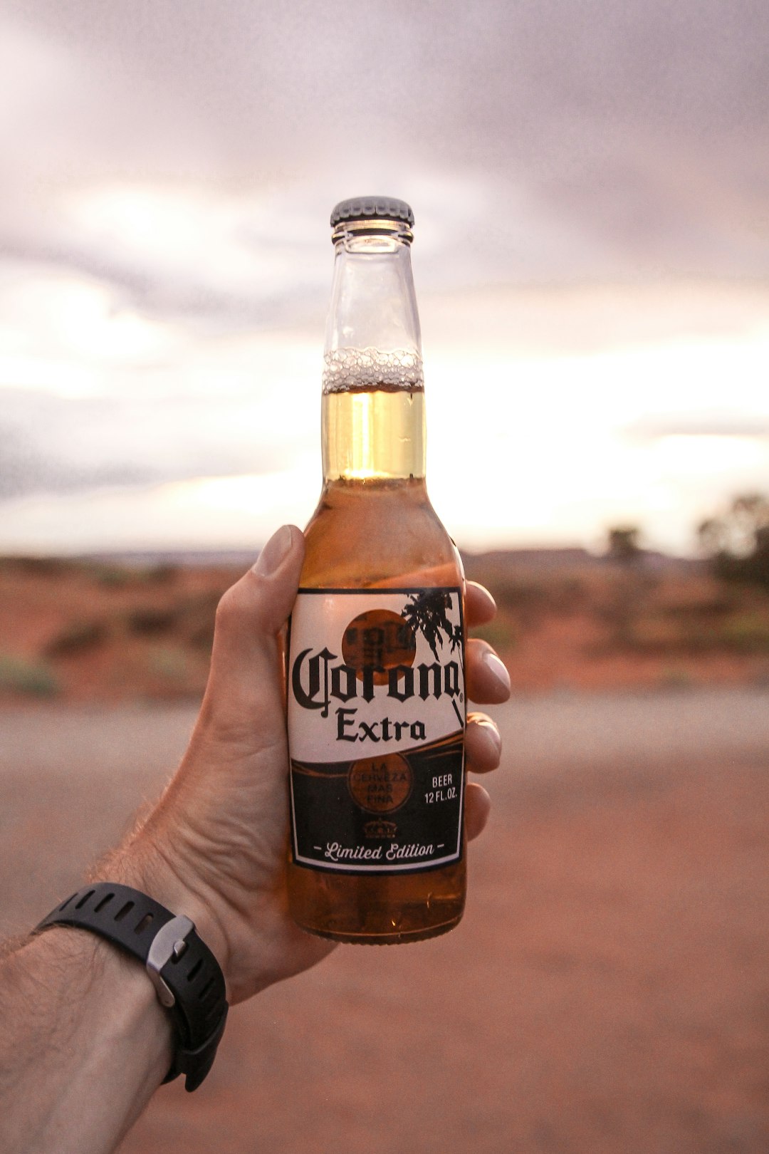 Corona Beer Pictures Download Free Images on Unsplash