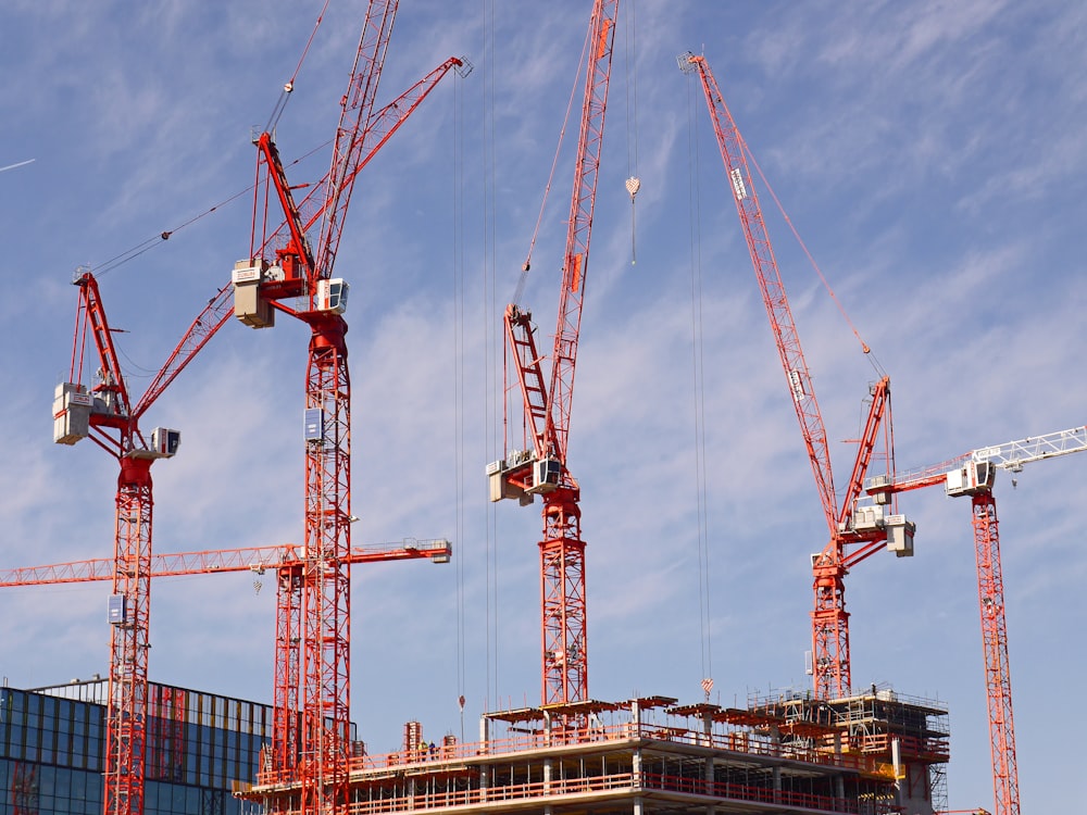 red and white crane under blue sky during daytime