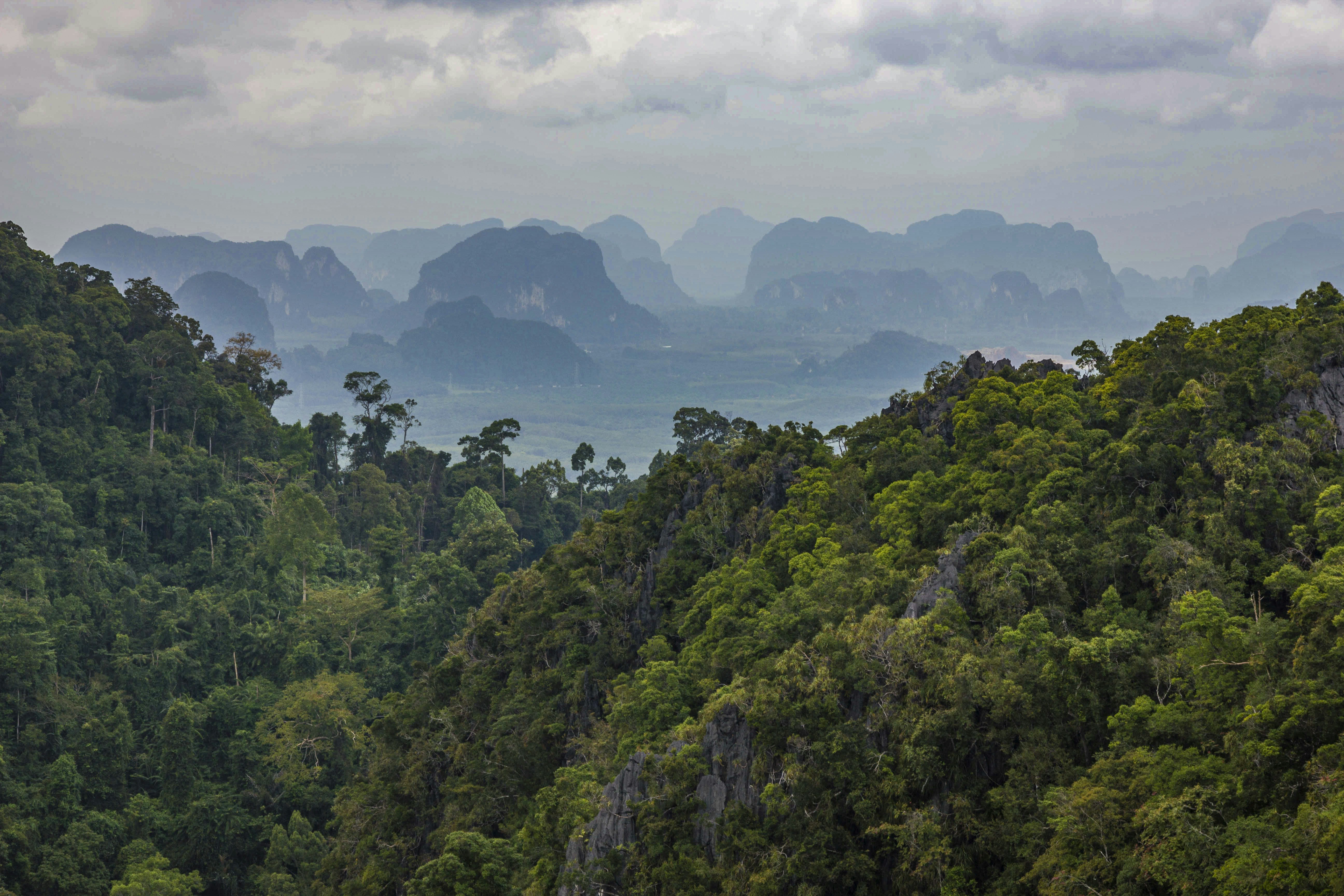 Photo by isaacquesada