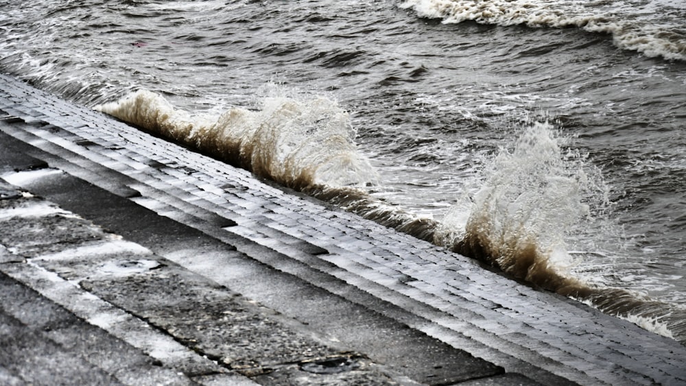 brown wooden dock on body of water during daytime