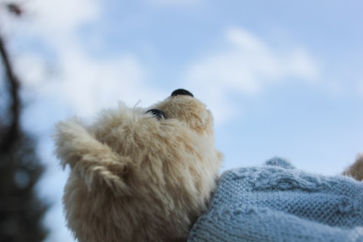 A close-up of a plush teddy bear looking towards the sky. The bear is adorned with a soft, knitted blue sweater. In the background, a clear, light blue sky is visible with soft clouds.