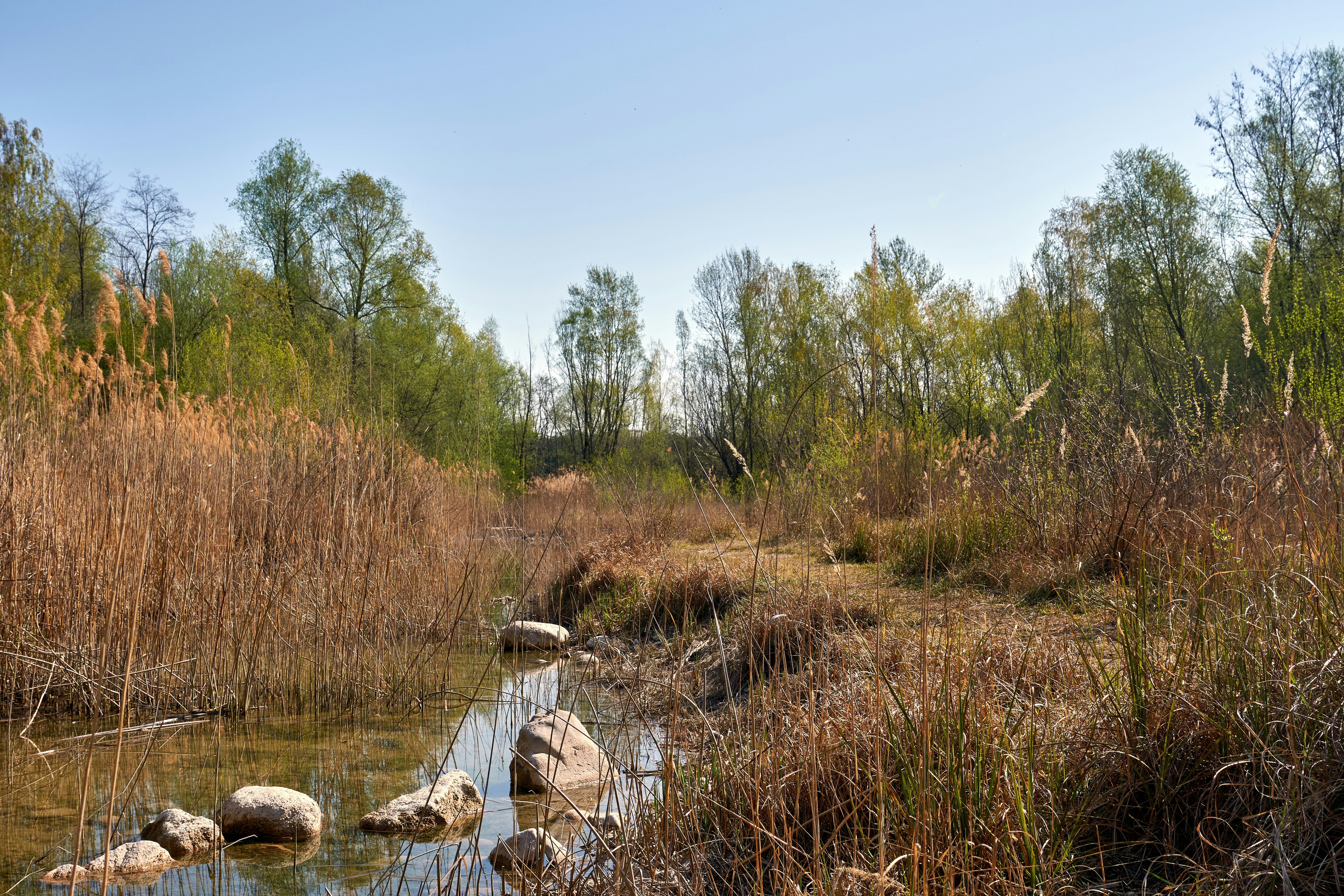 Photo by wolfgang_hasselmann