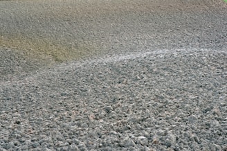Close-up of fertile soil on a flat terrain.