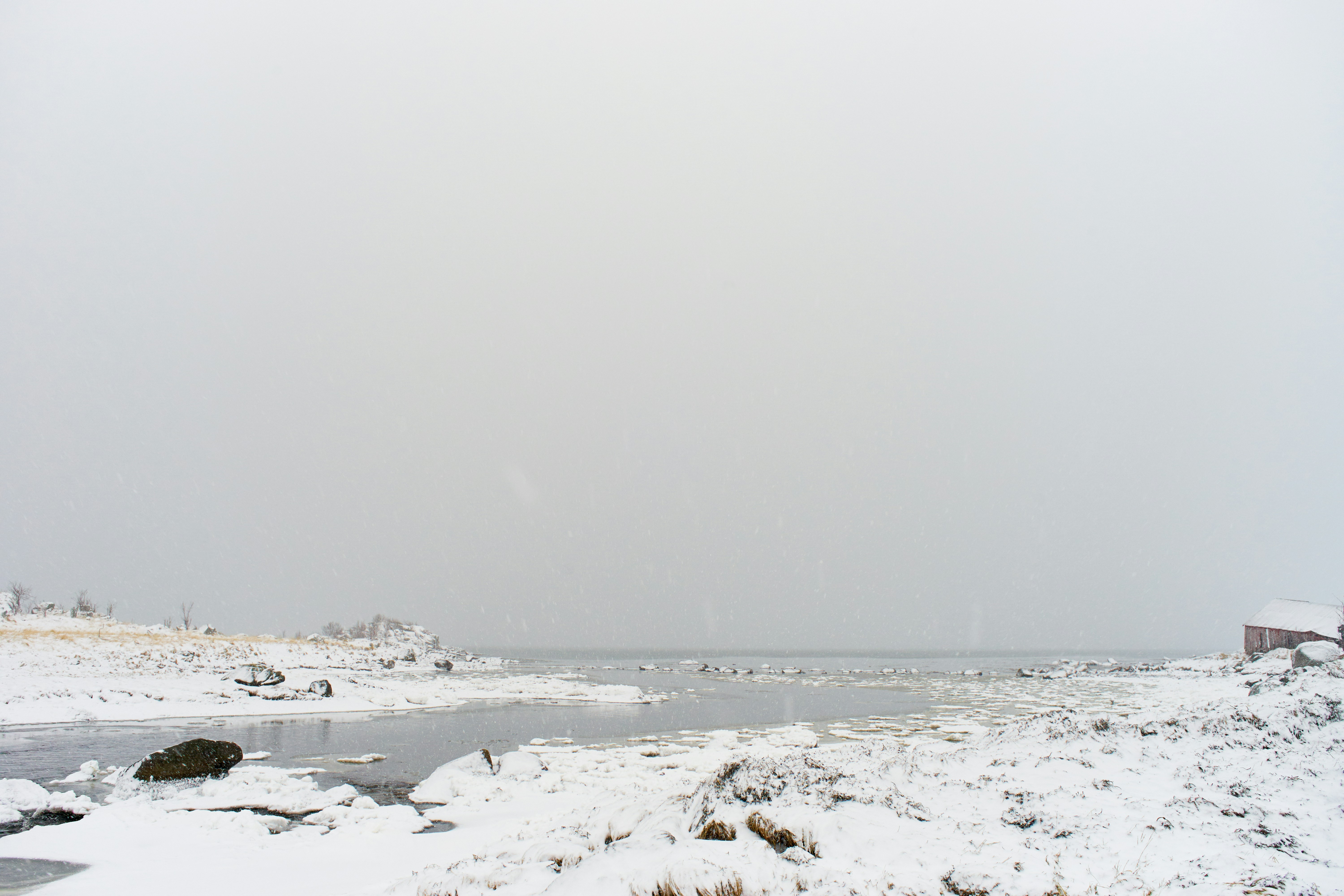 Photo by wolfgang_hasselmann