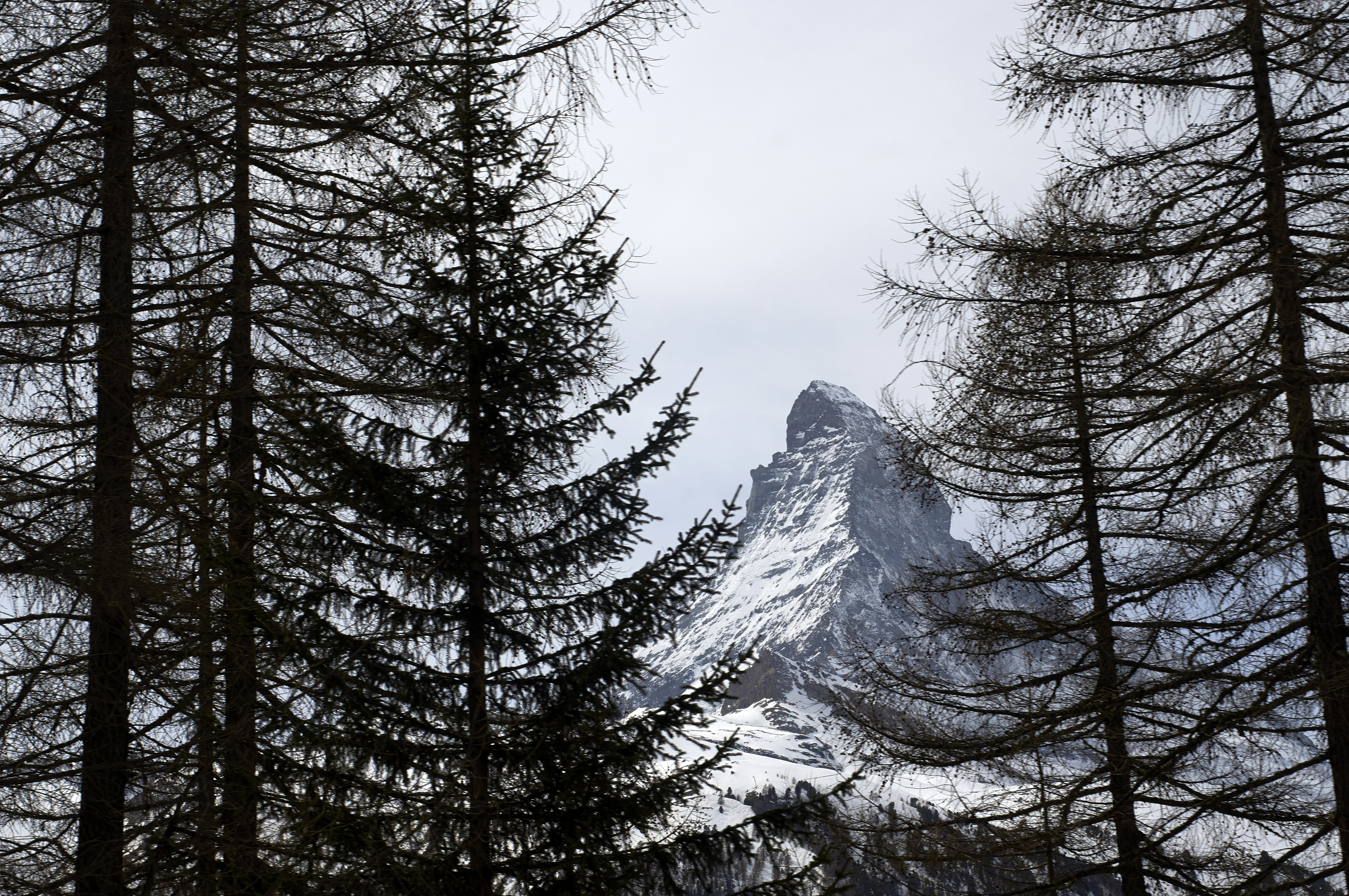 Photo by wolfgang_hasselmann