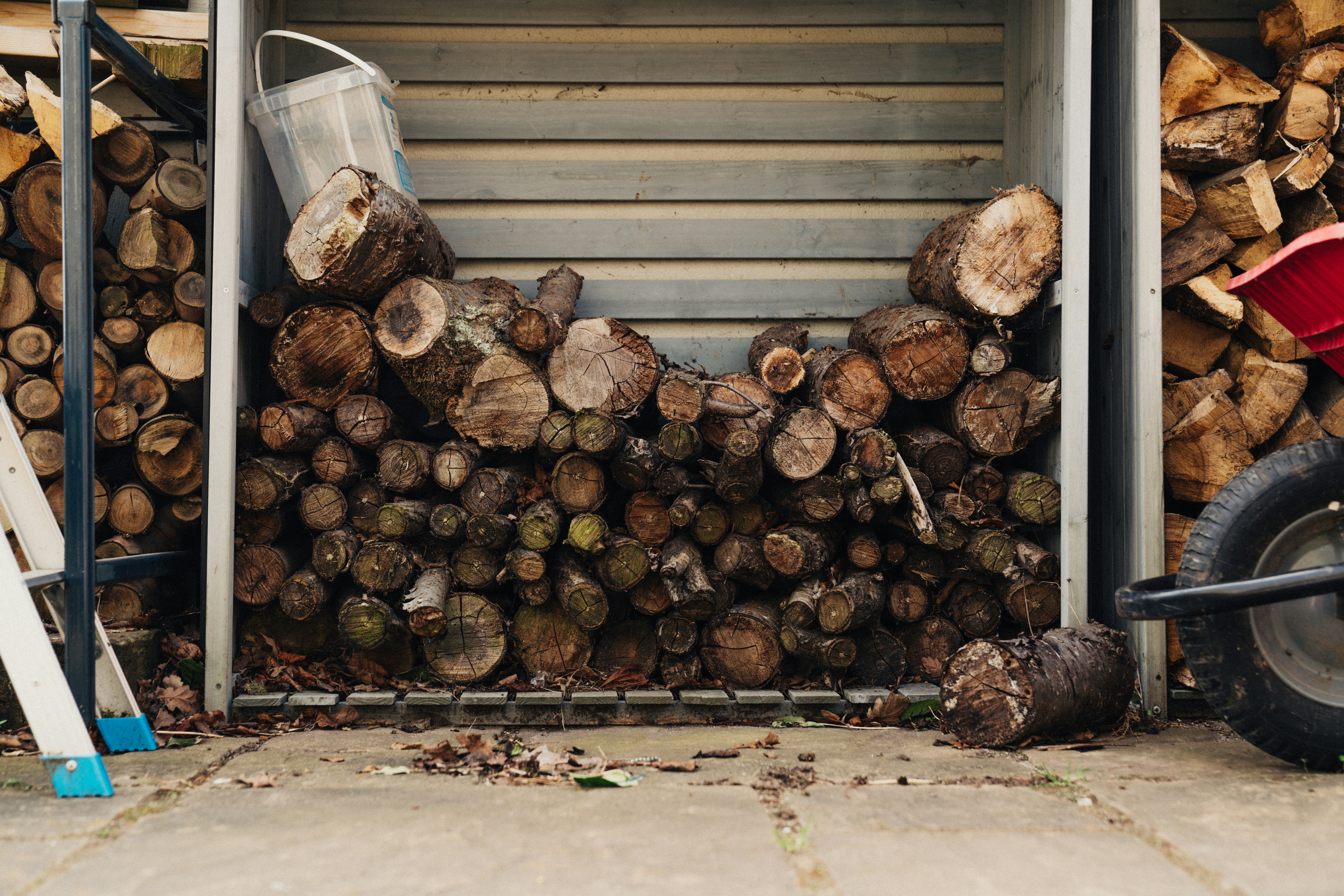 brown and black wood logs