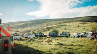 A group of safari vehicles is gathered on a grassy plain as several lions walk around them. The setting is a wide open landscape with a gentle hill in the background. The sky is partly cloudy with patches of blue.