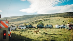 A group of safari vehicles is gathered on a grassy plain as several lions walk around them. The setting is a wide open landscape with a gentle hill in the background. The sky is partly cloudy with patches of blue.