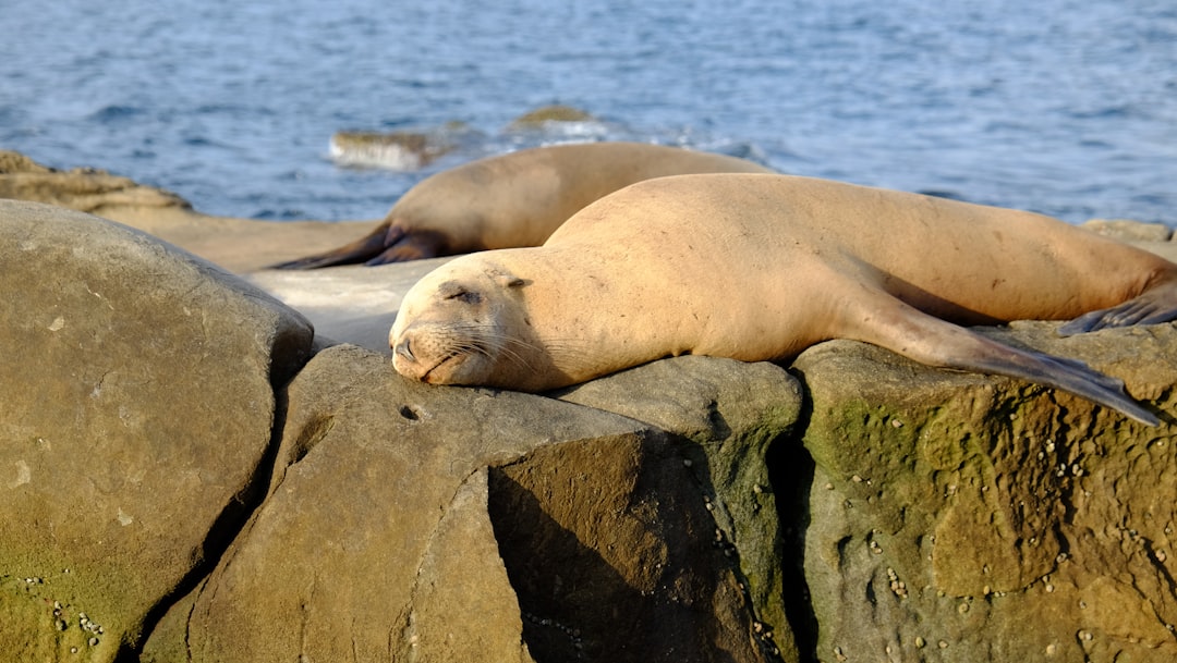 7 Hidden Gem Beaches in San