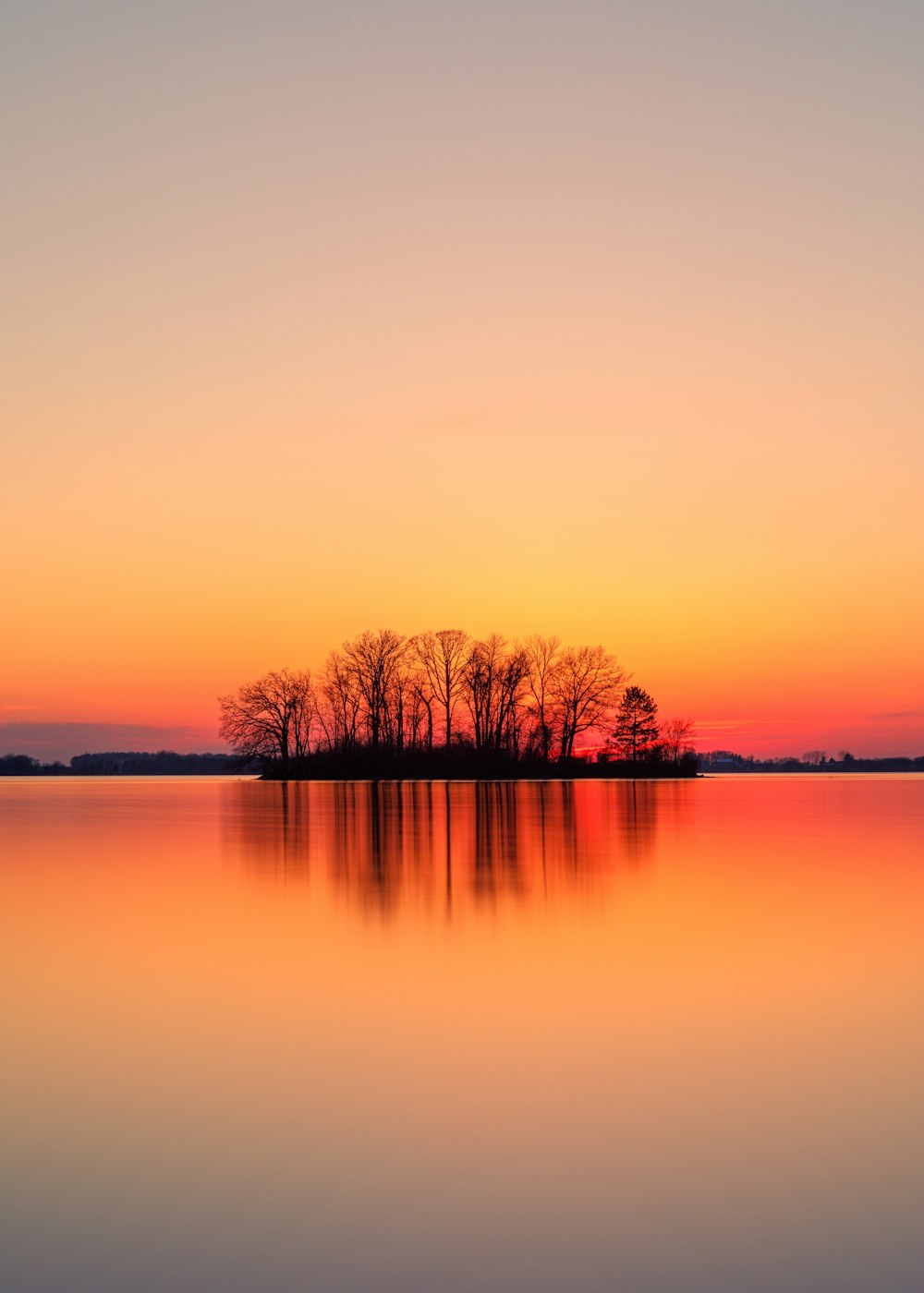 silhouette d'arbres près d'un plan d'eau au coucher du soleil