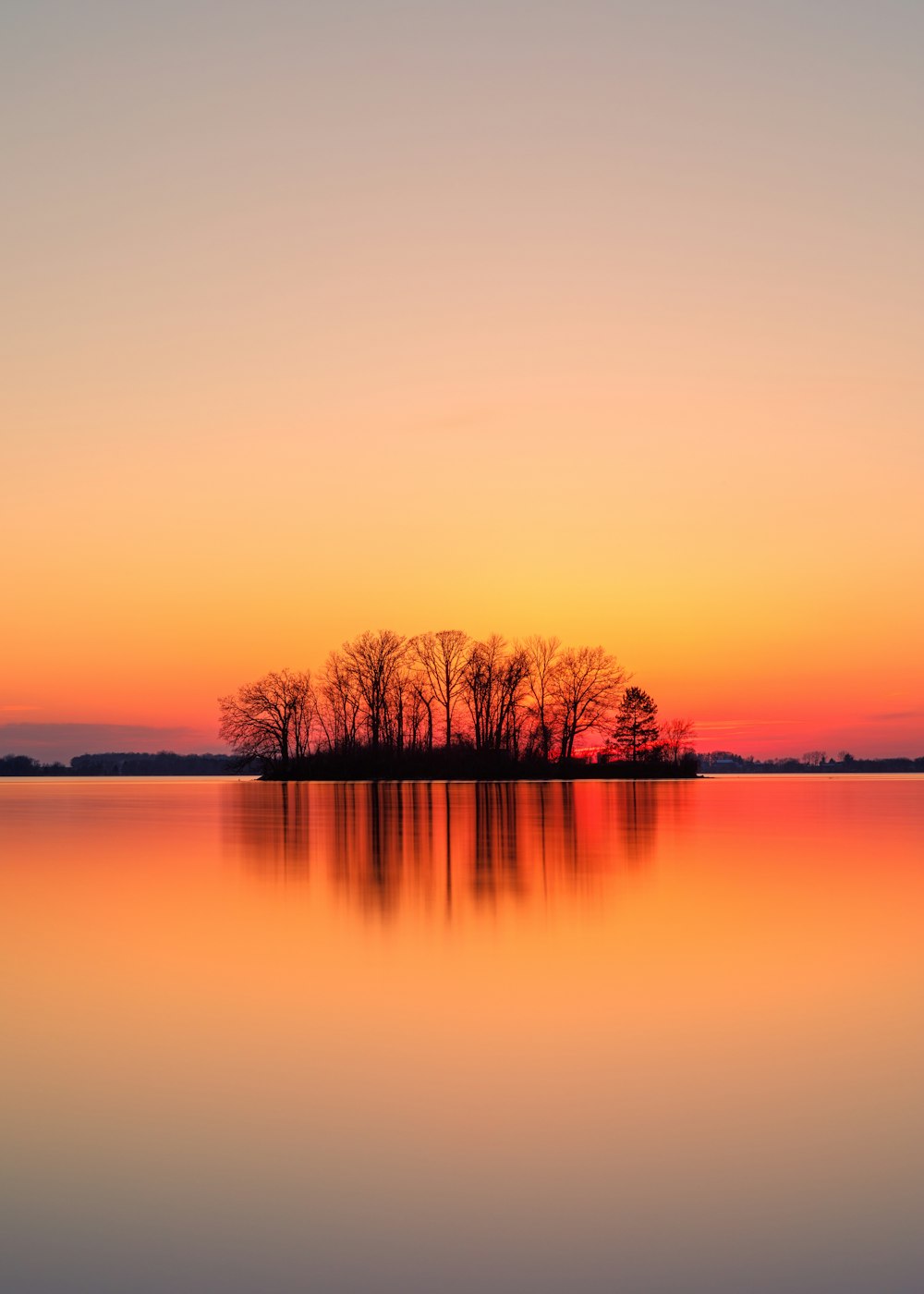 silhouette of trees near body of water during sunset