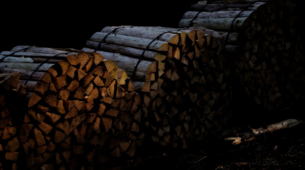 brown wooden logs on green grass