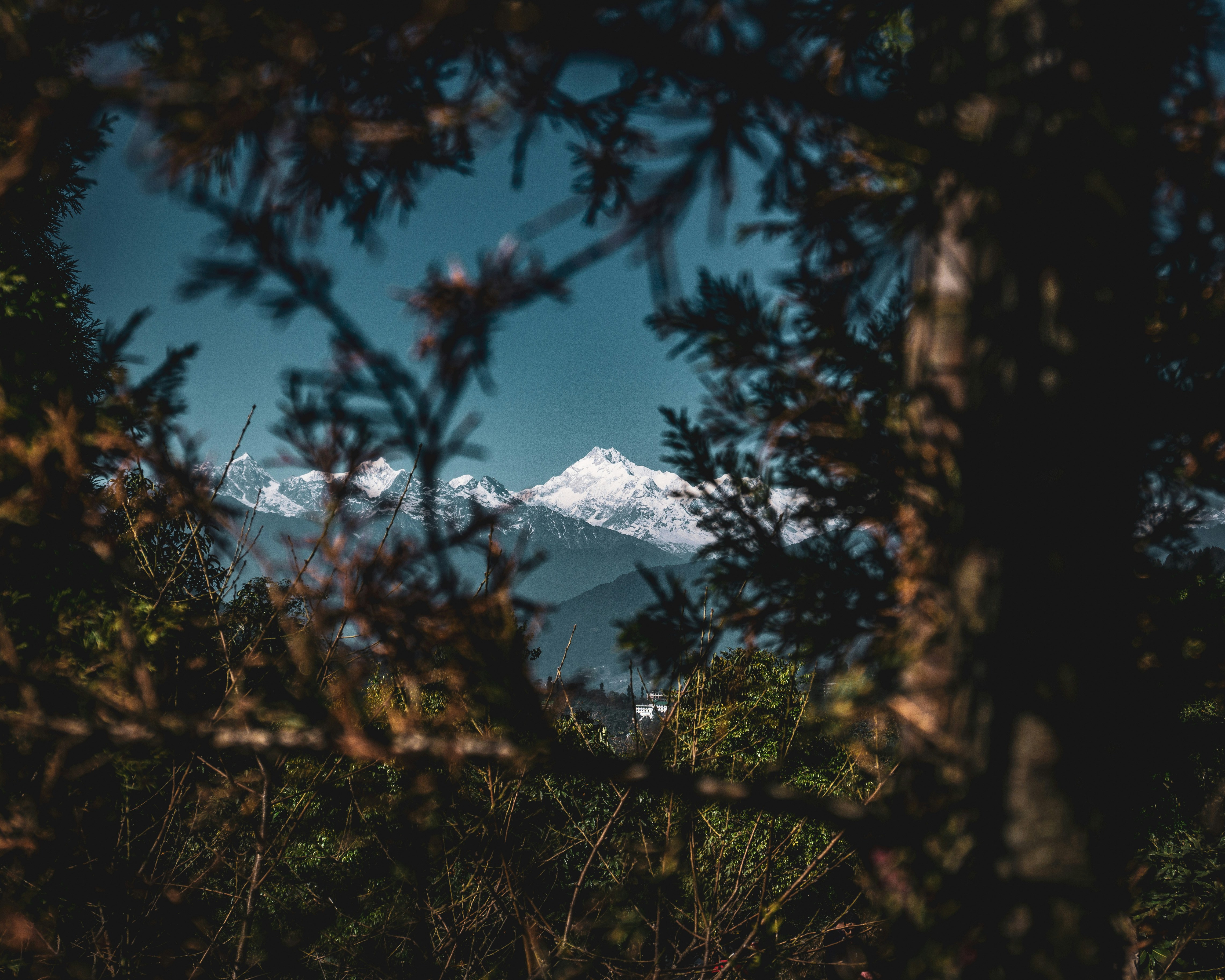 Photo by shubham_kardam