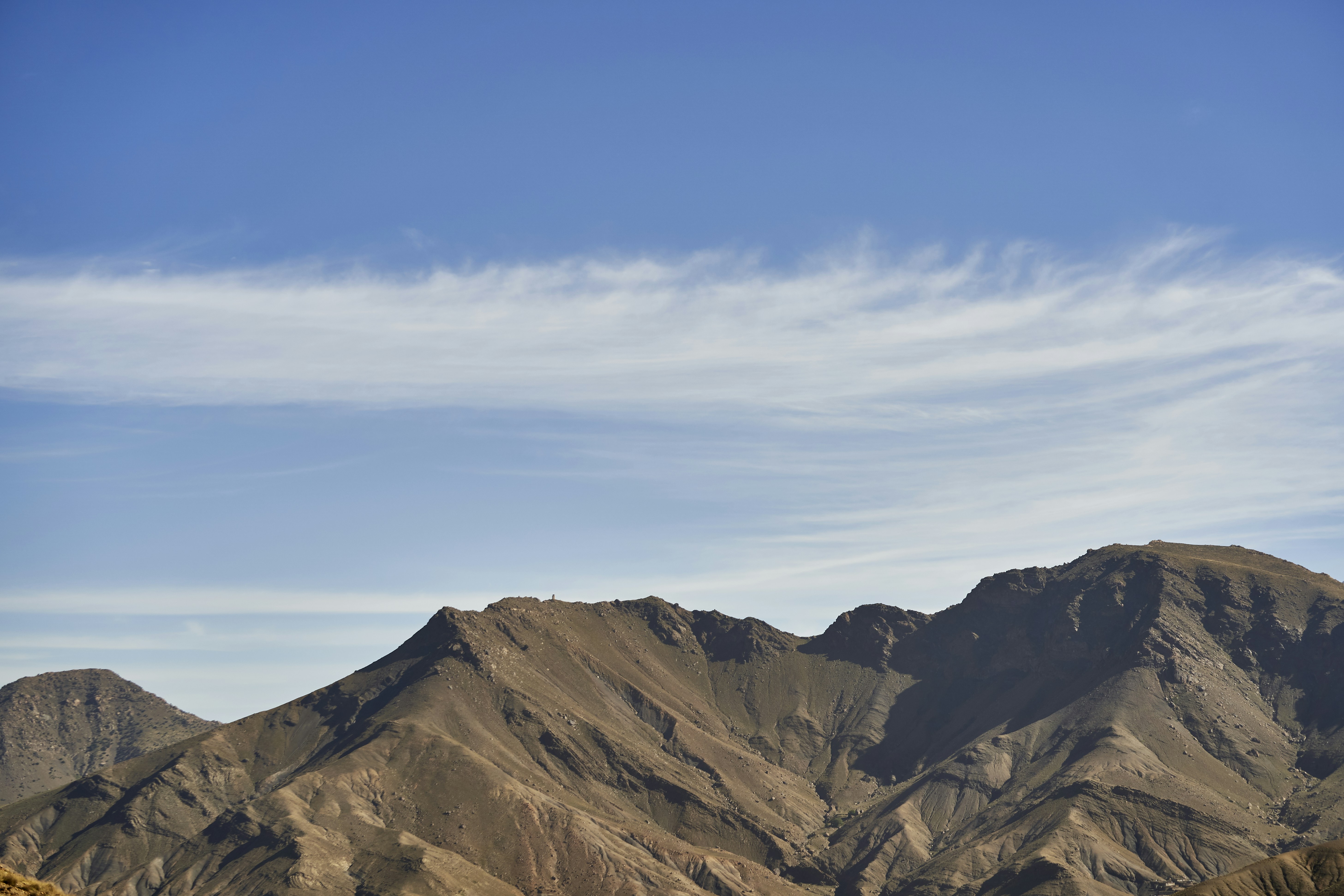 Photo by wolfgang_hasselmann