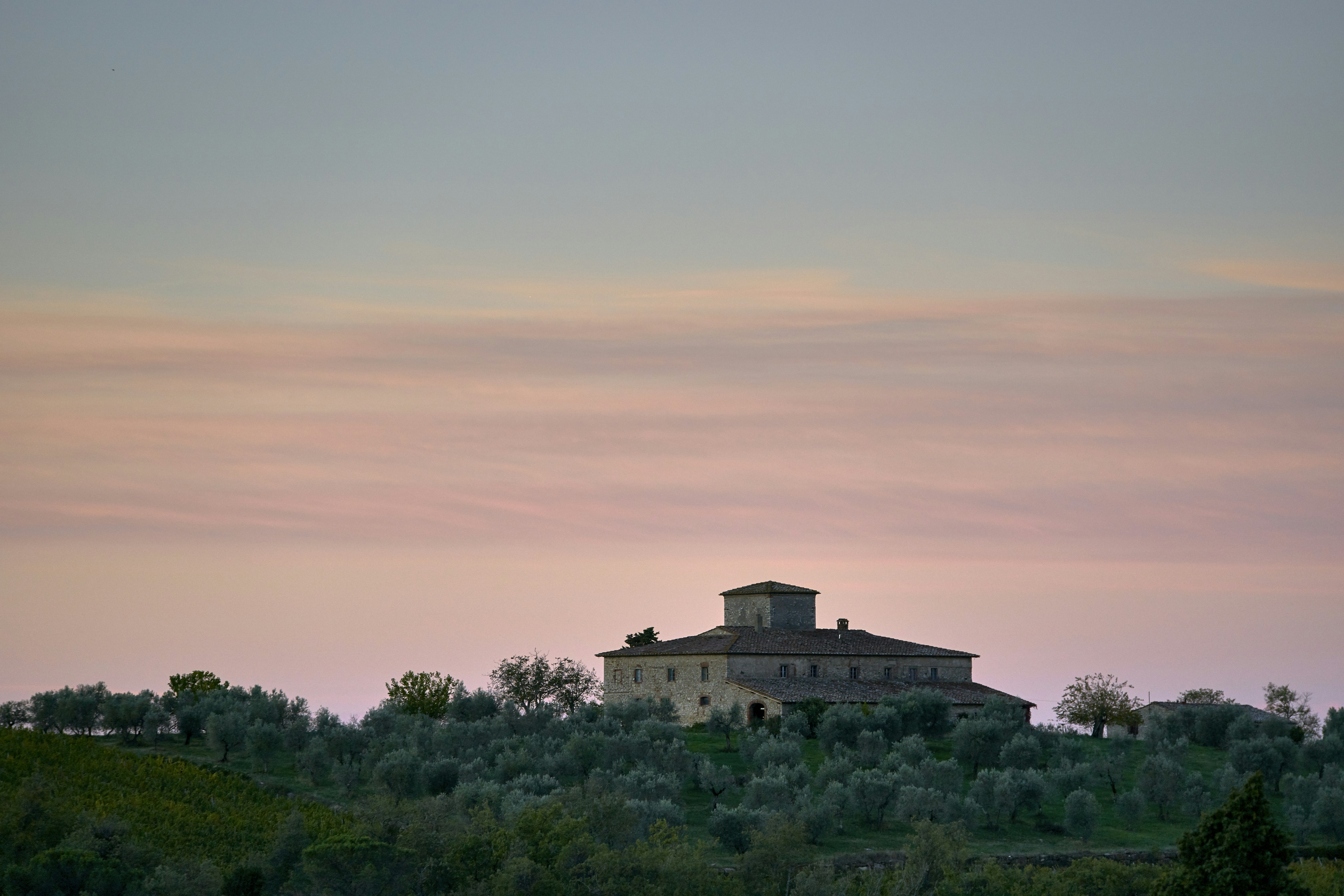 Photo by wolfgang_hasselmann