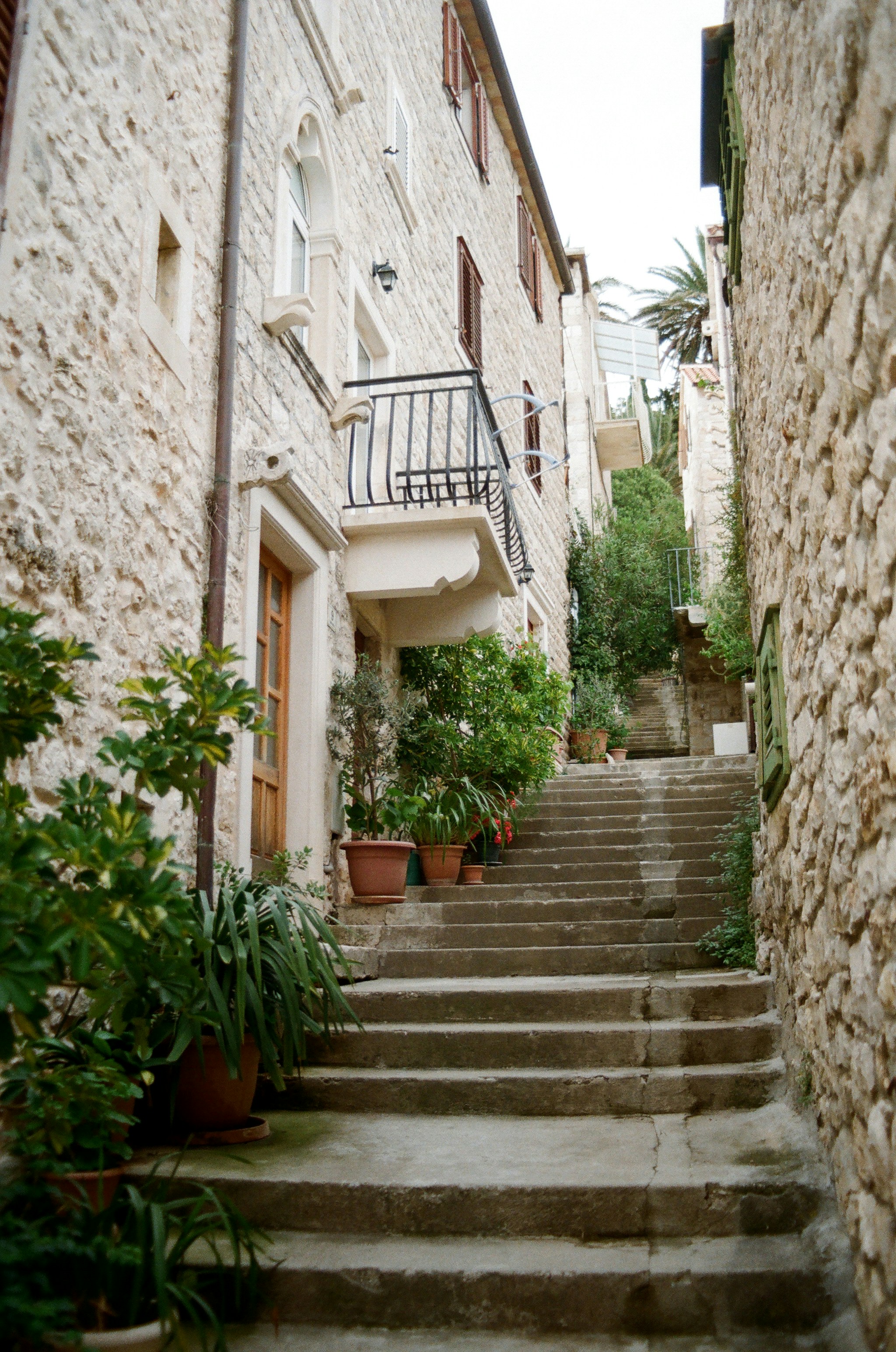 Photo by babikacharava