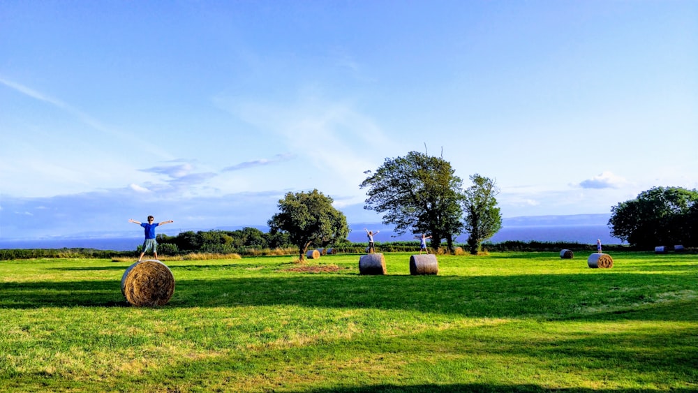 brown hays on green grass field under blue sky during daytime