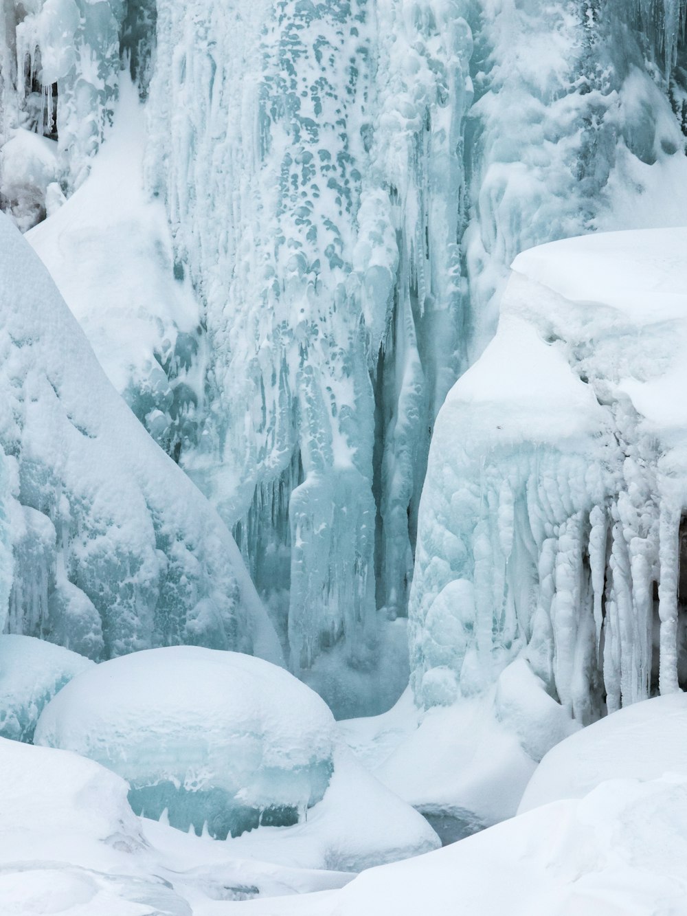 árvores cobertas de neve durante o dia