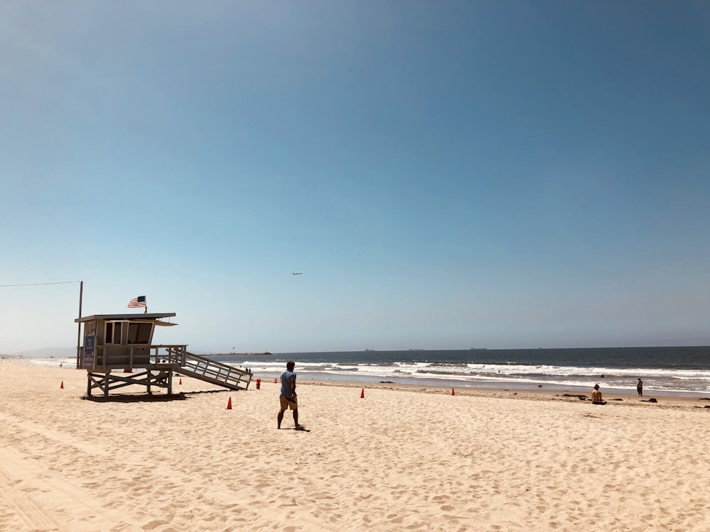 people on beach during daytime