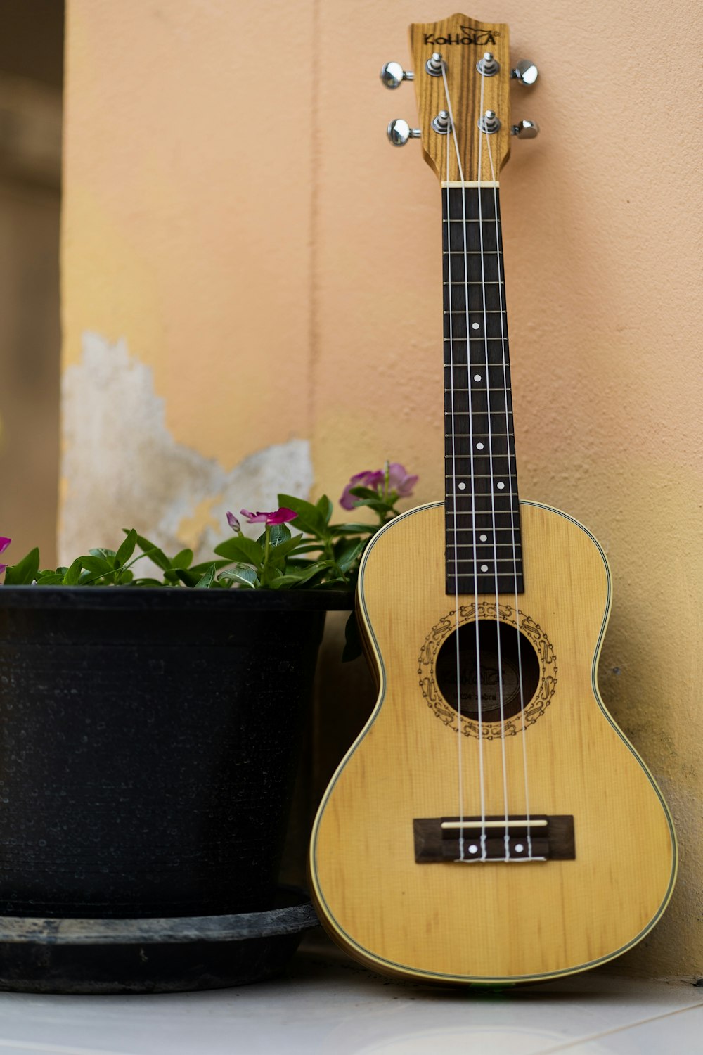 Brown acoustic guitar beside green plant photo – Free Sukhothai Image on  Unsplash