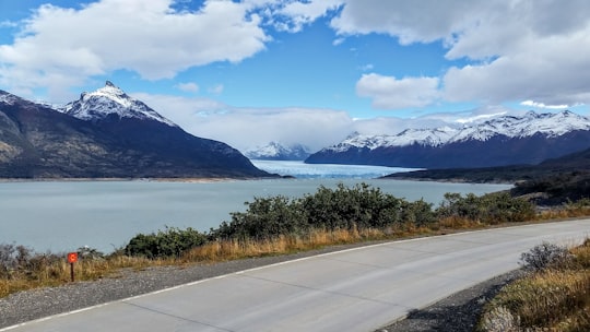 green grass field near body of water under blue sky during daytime in Perito Moreno Glacier Argentina