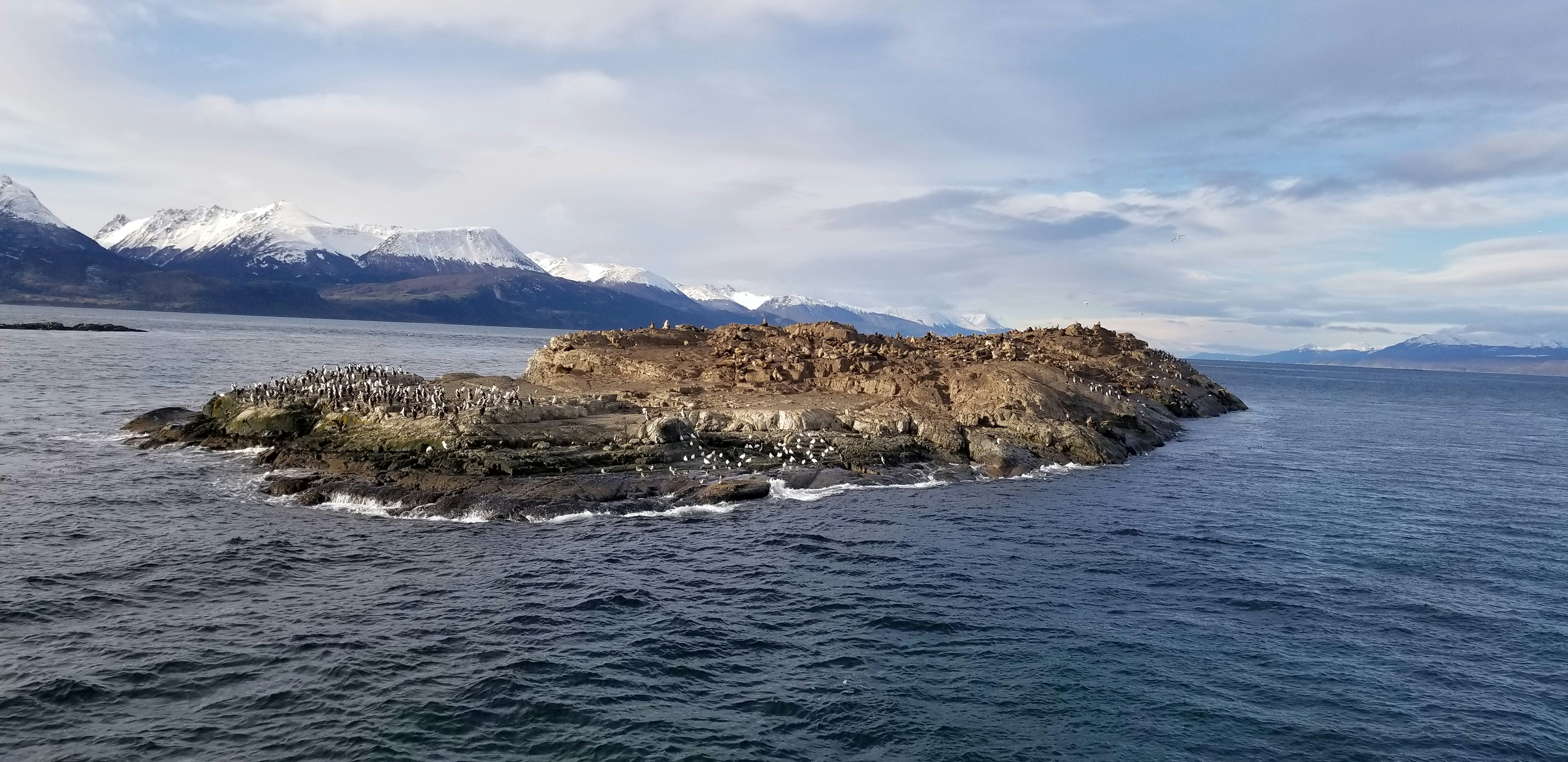 Ushuaia – Food & Dining Culture