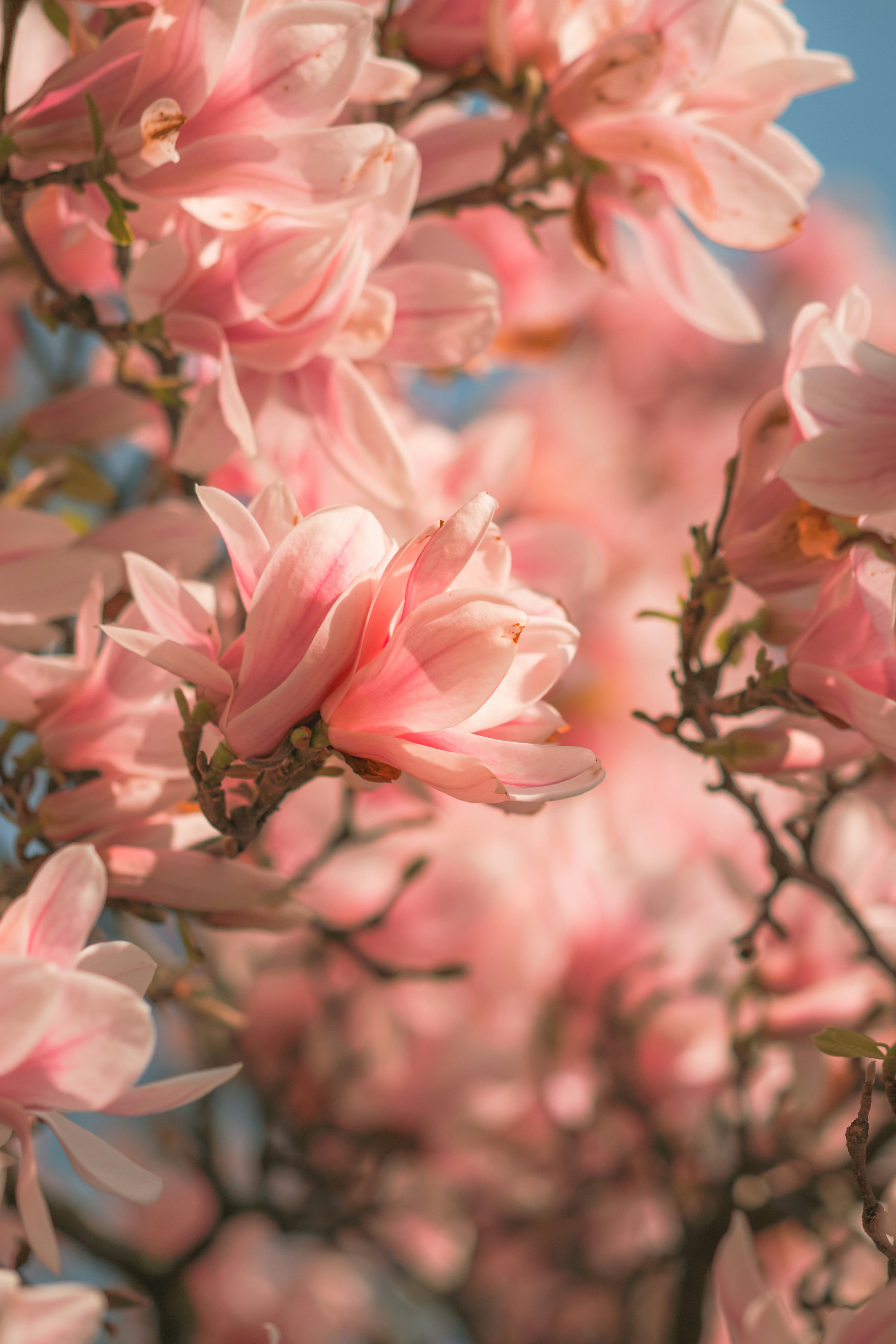 Photo by kevinmueller