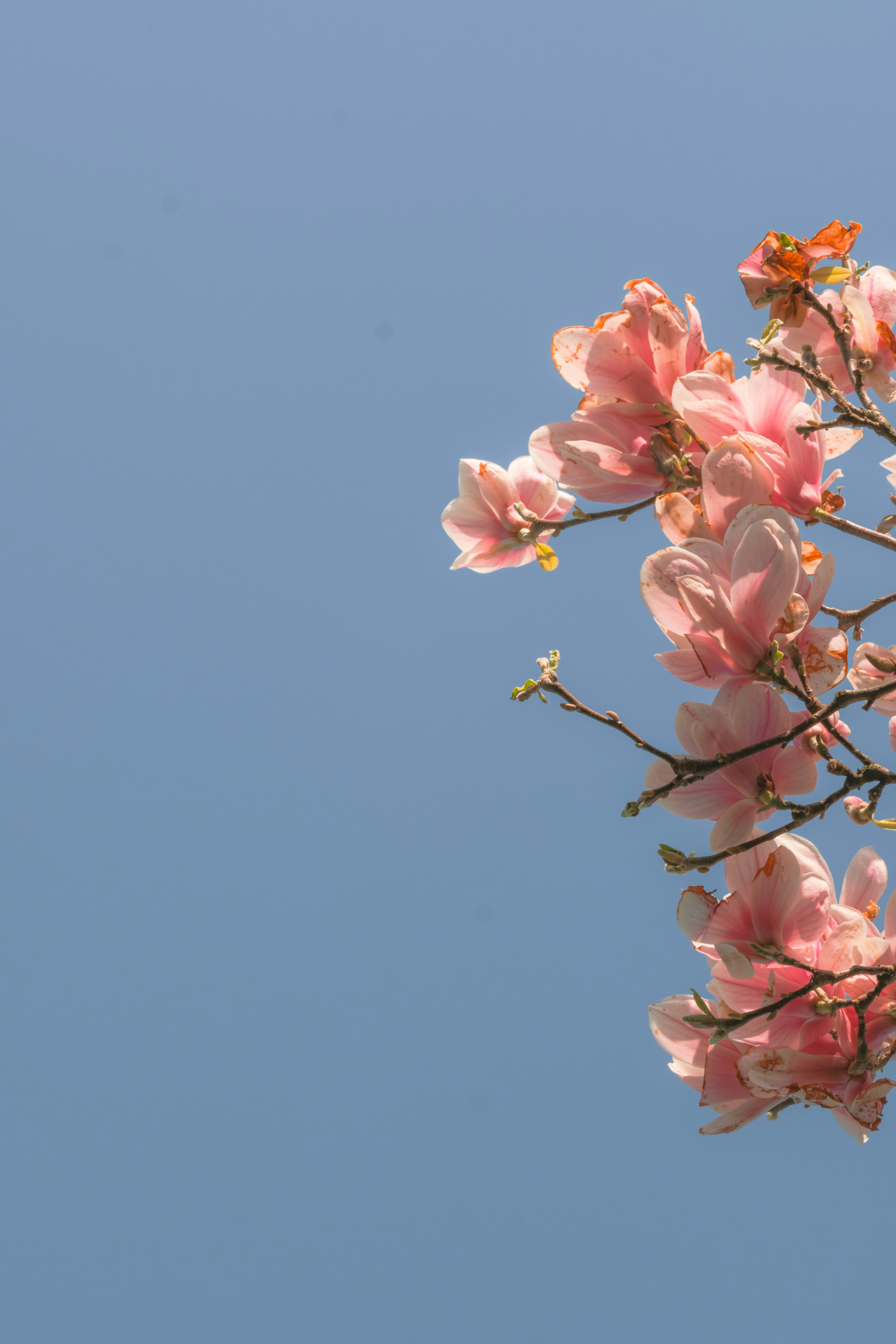 Photo by kevinmueller