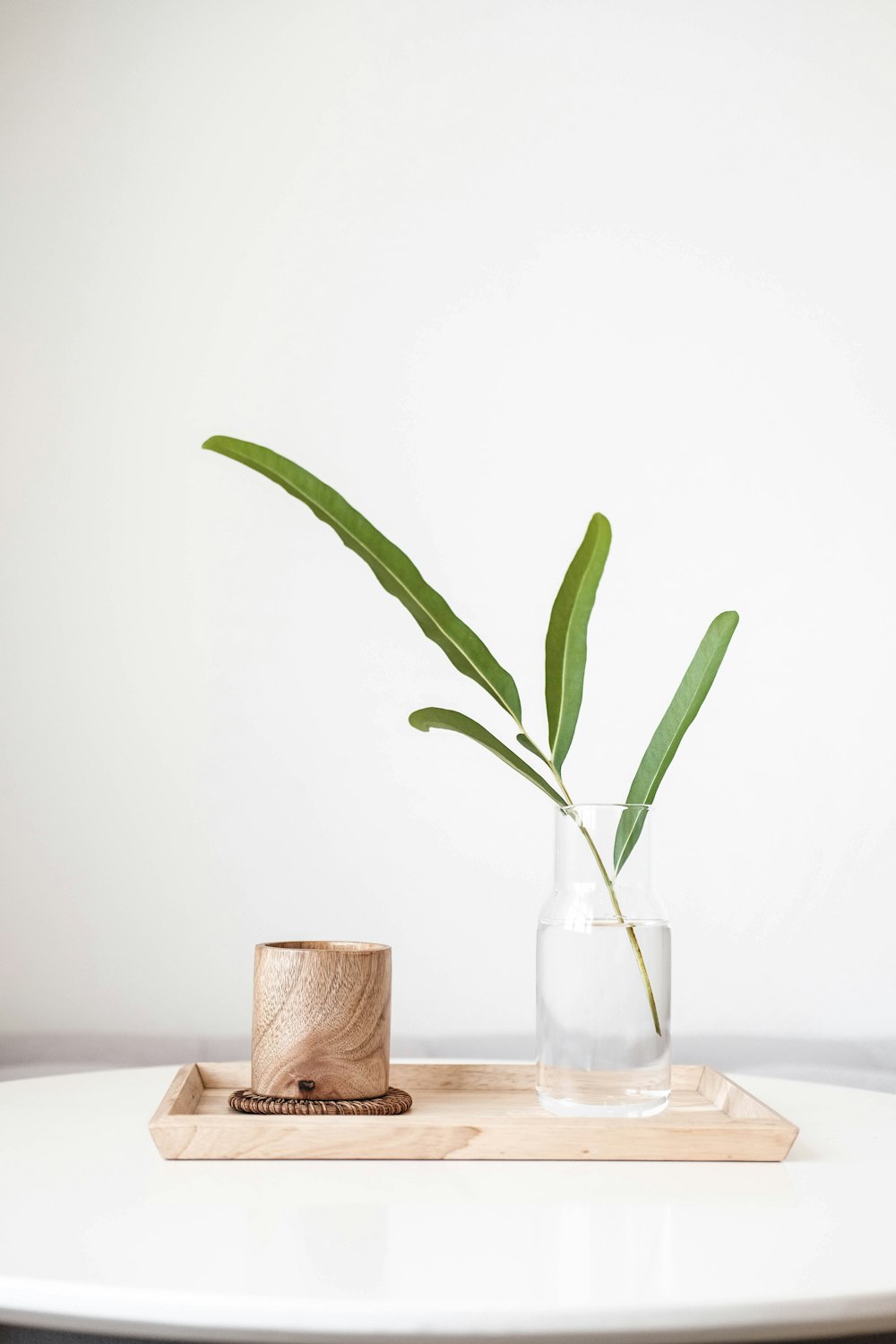 plante verte dans un vase en verre transparent
