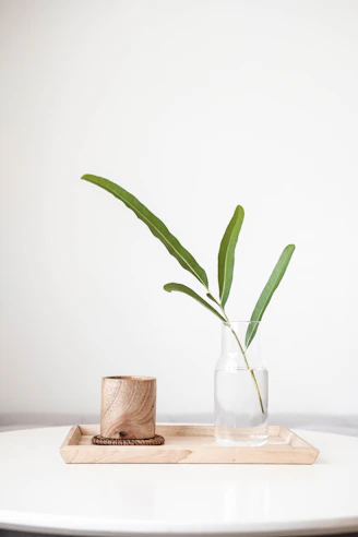 Decoración con plantas