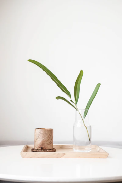 Decoración con plantas