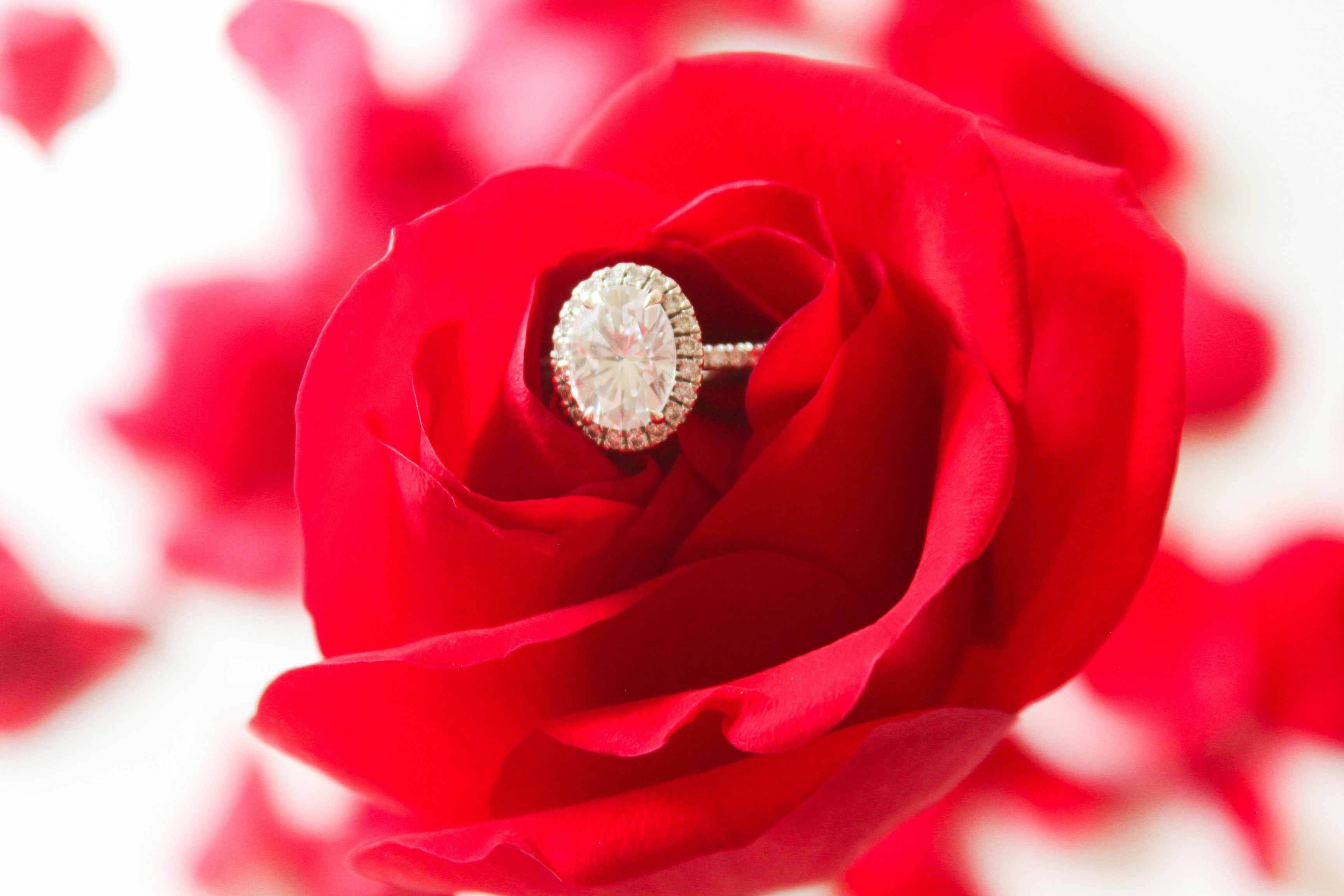 Exploring the History and Cultural Significance of Rose Rings