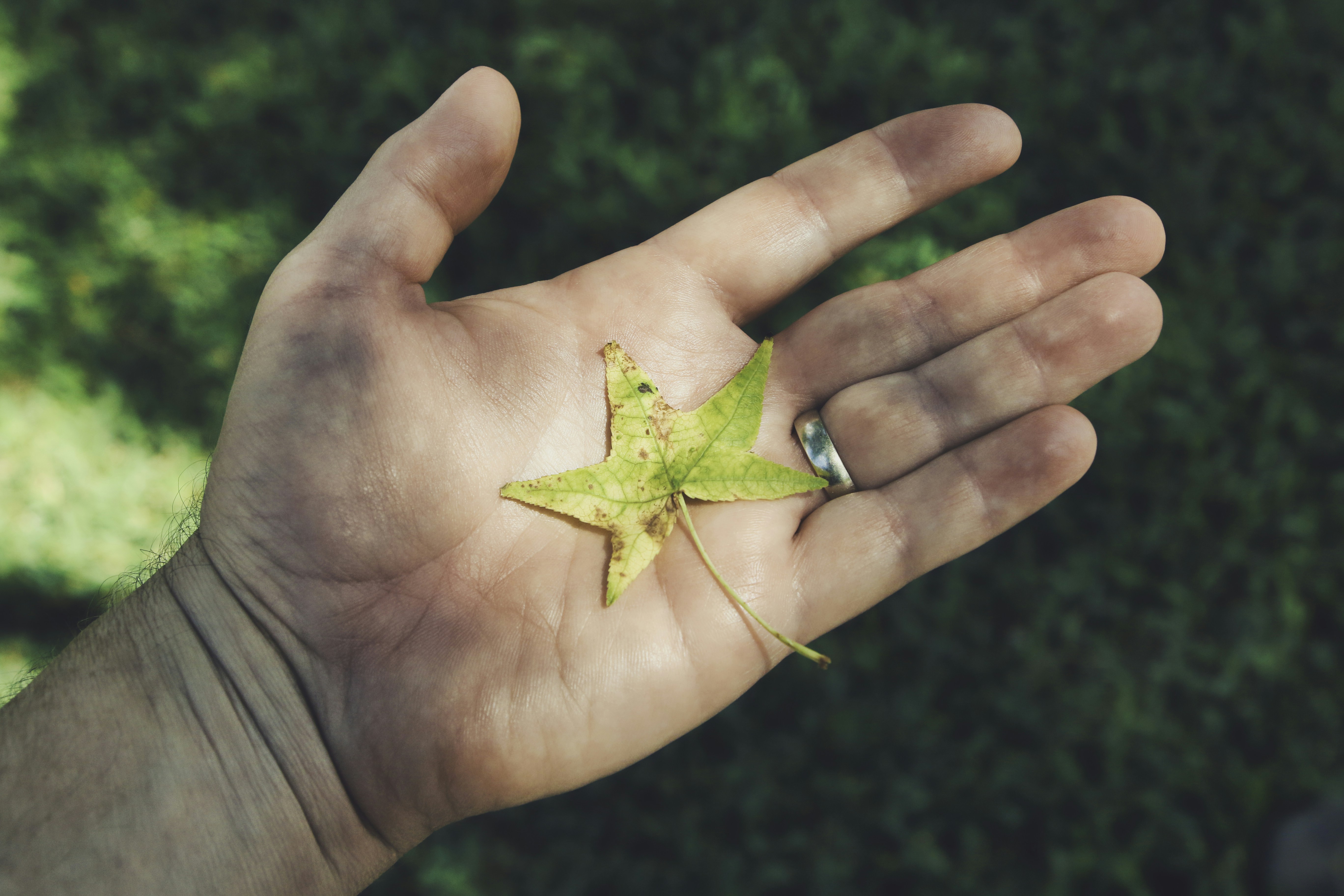 Photo by rocinante_11