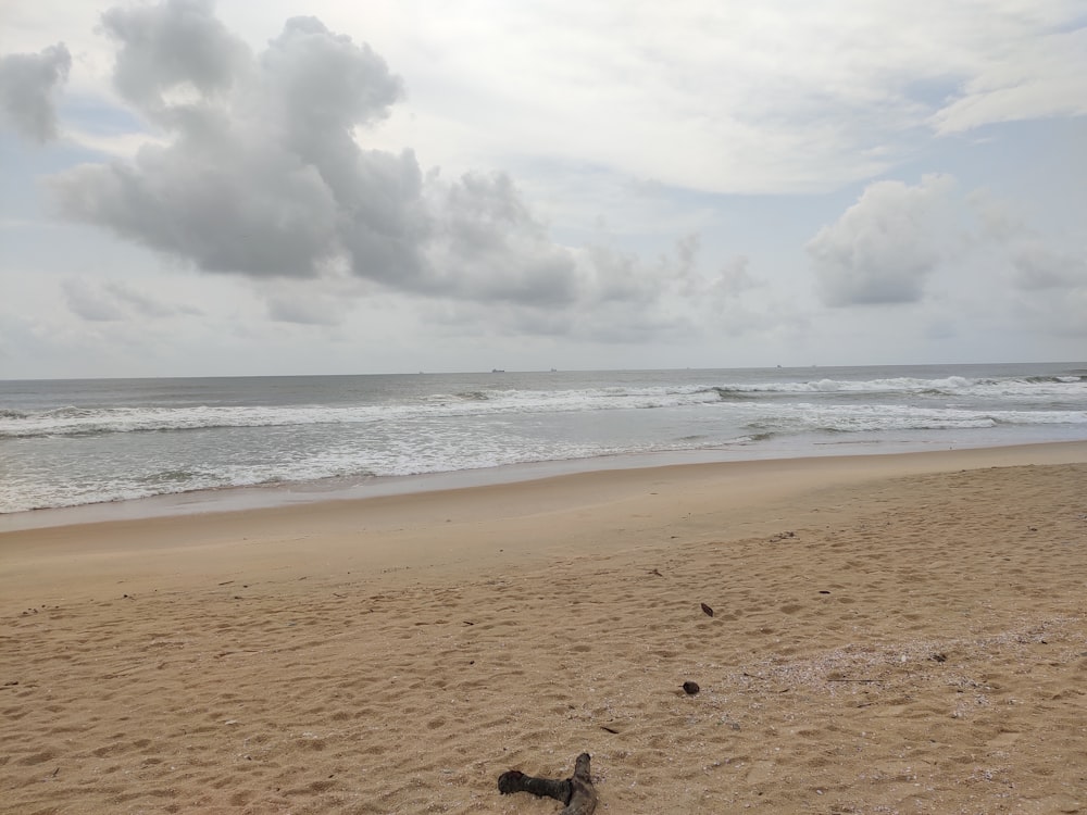 brown sand near body of water during daytime