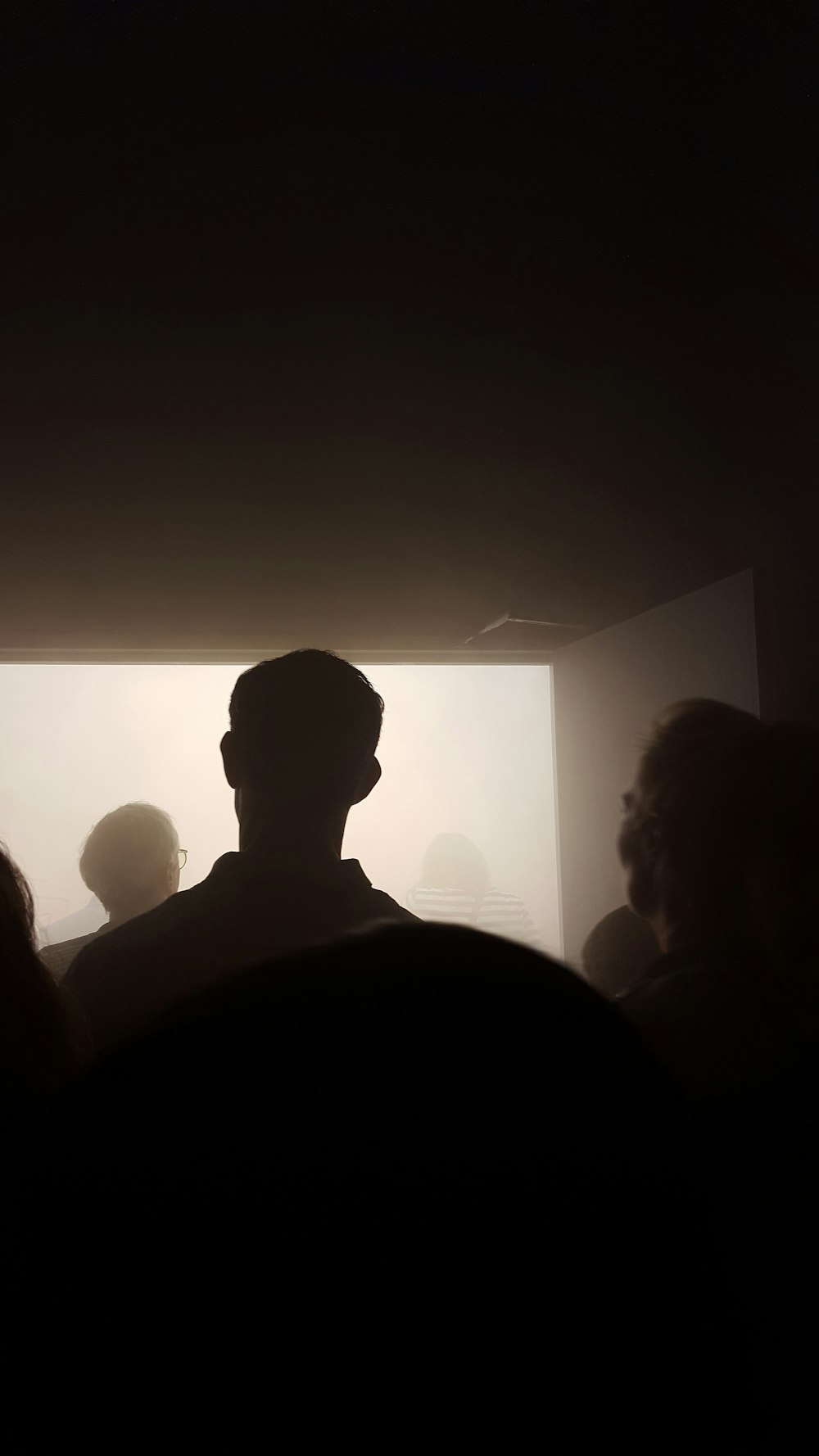 silhouette of people standing in front of people